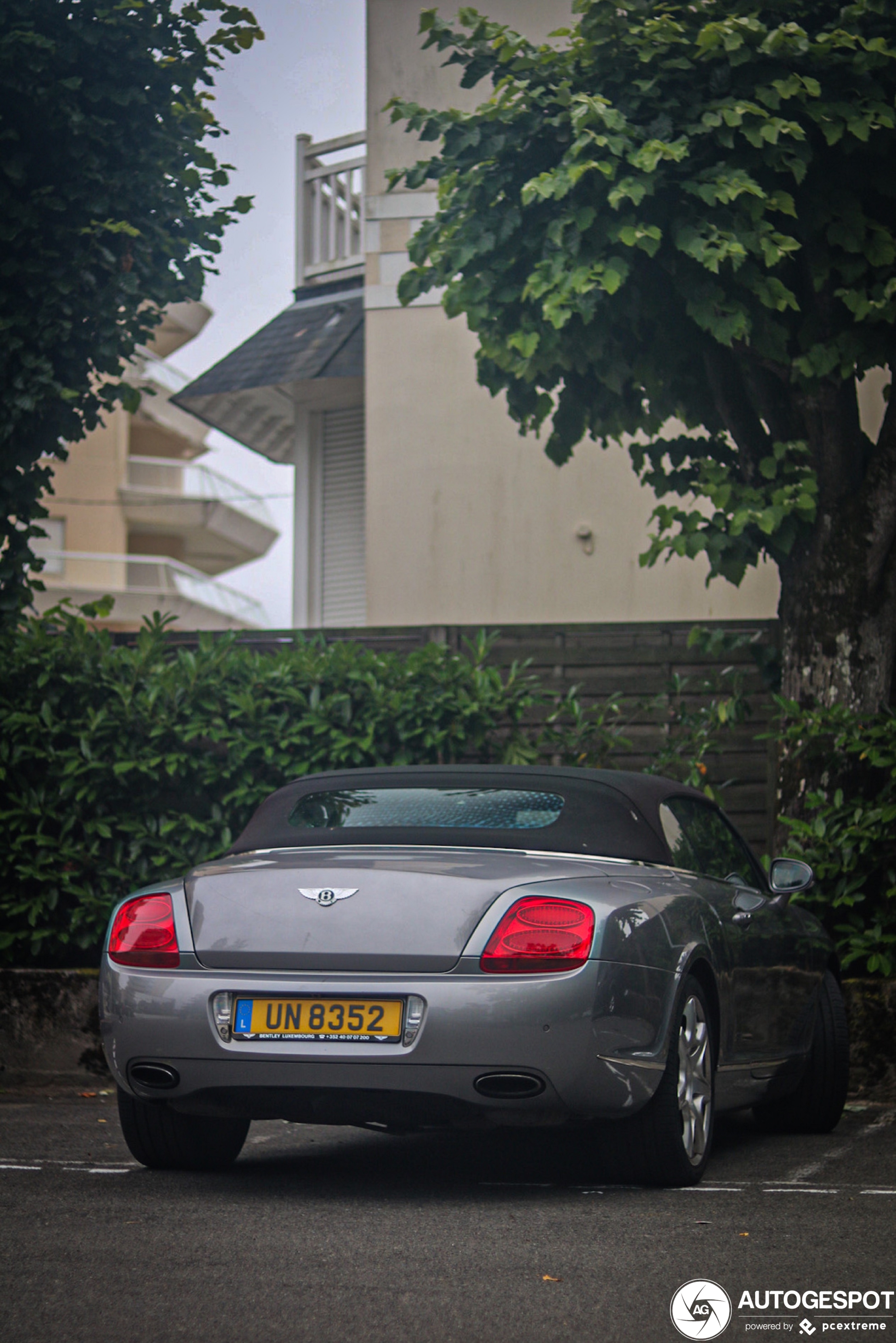 Bentley Continental GTC