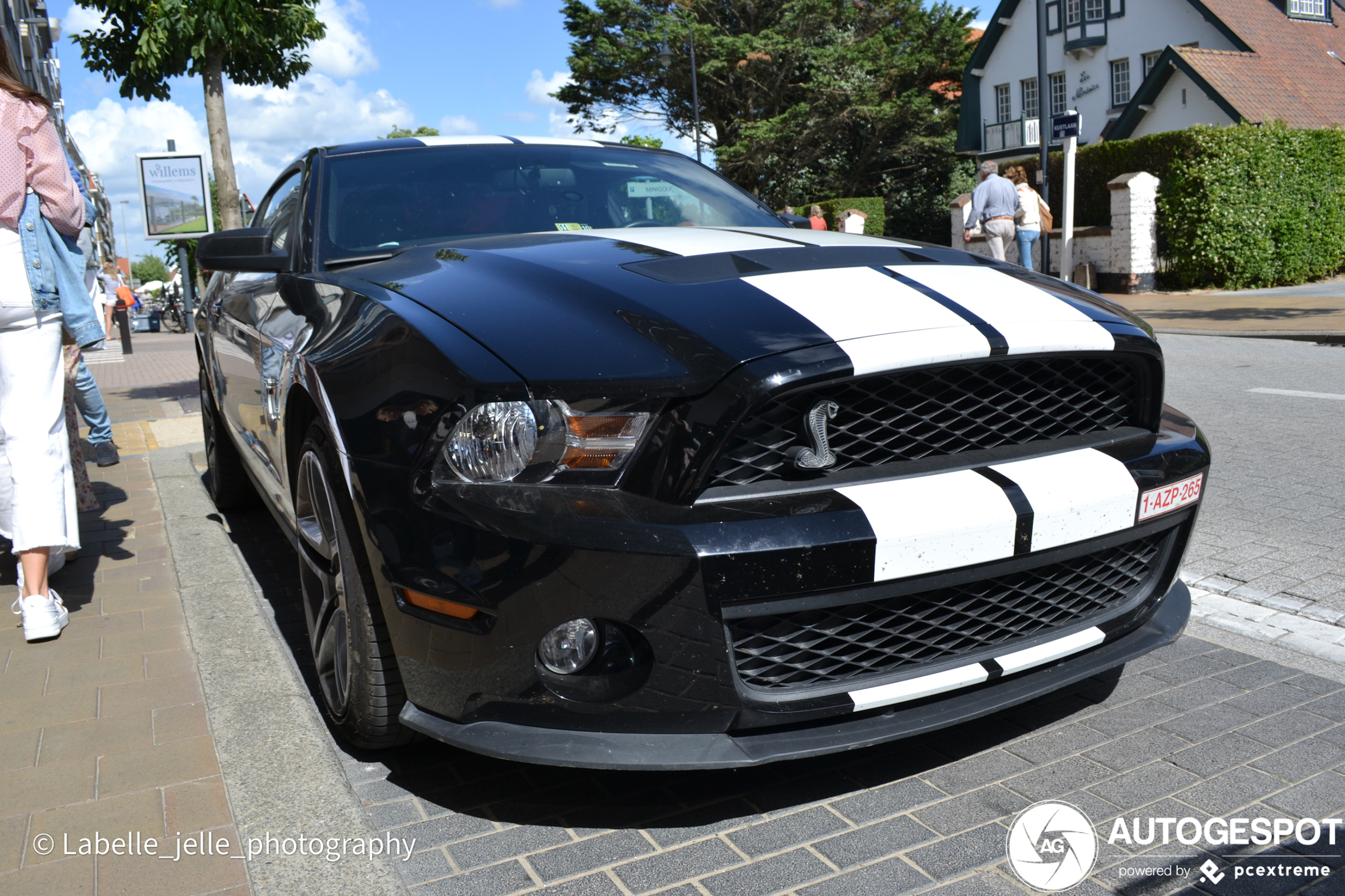 Ford Mustang Shelby GT500 2010