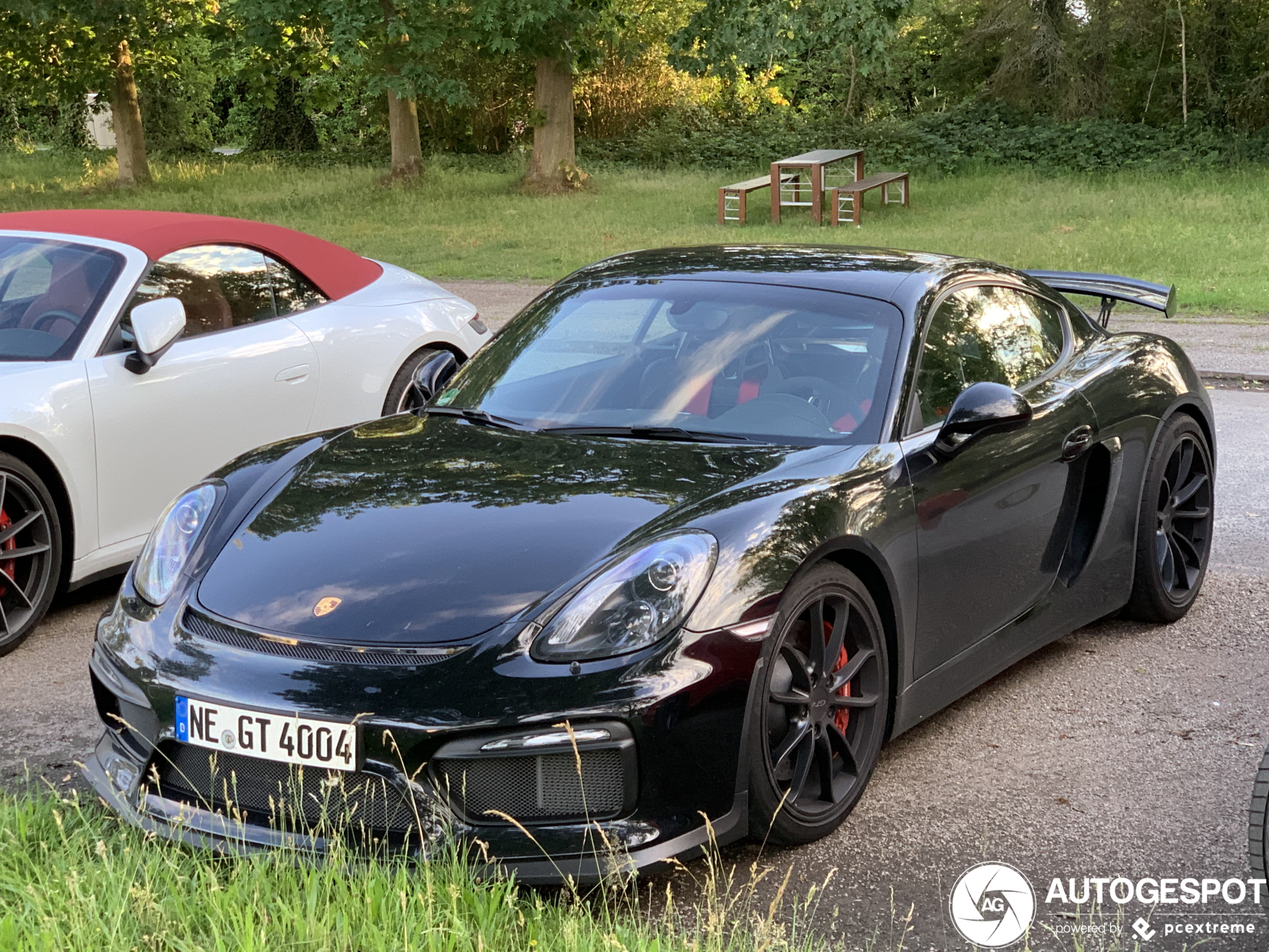 Porsche 981 Cayman GT4