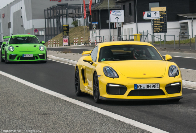 Porsche 981 Cayman GT4