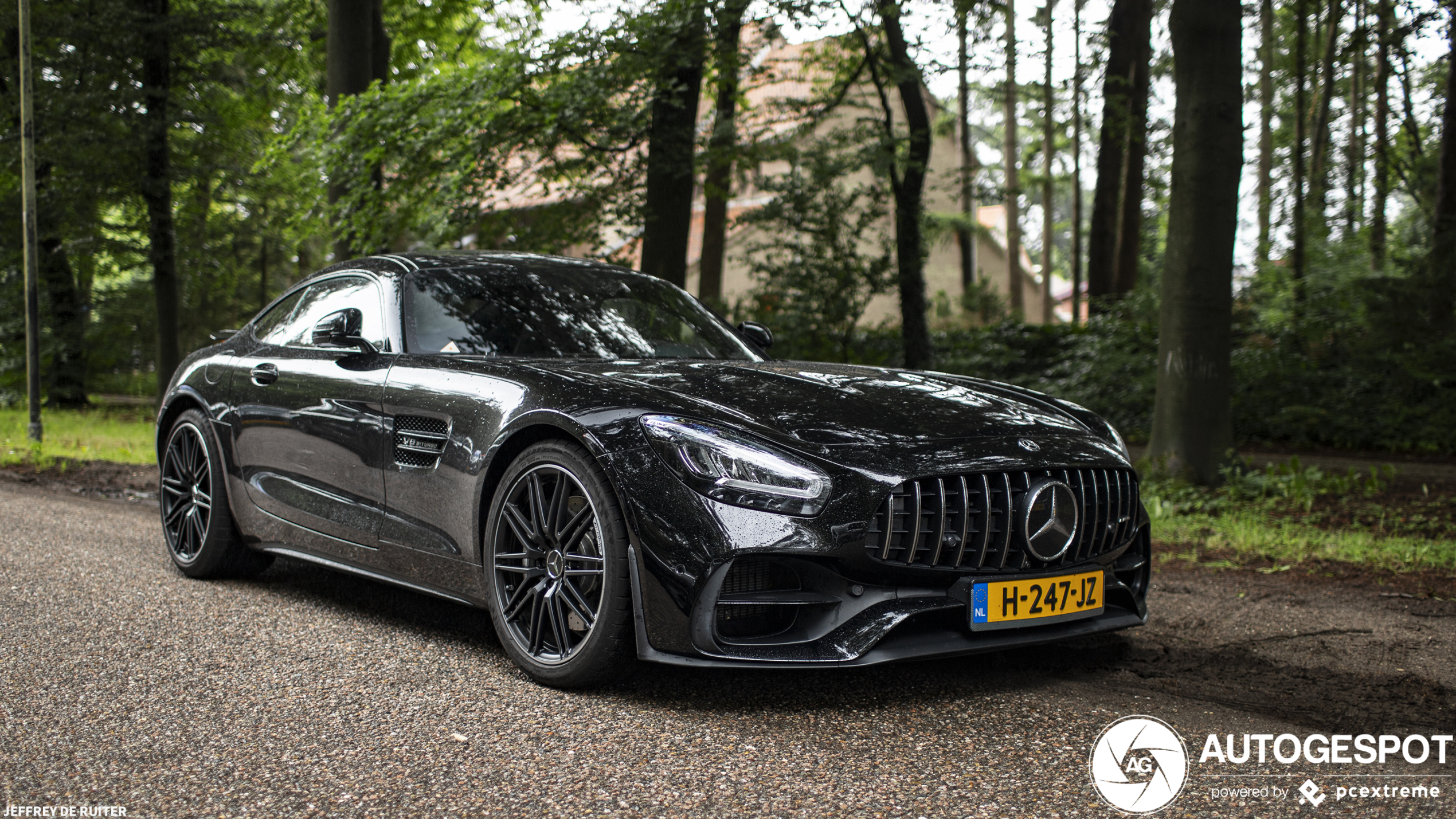 Mercedes-AMG GT C190 2019