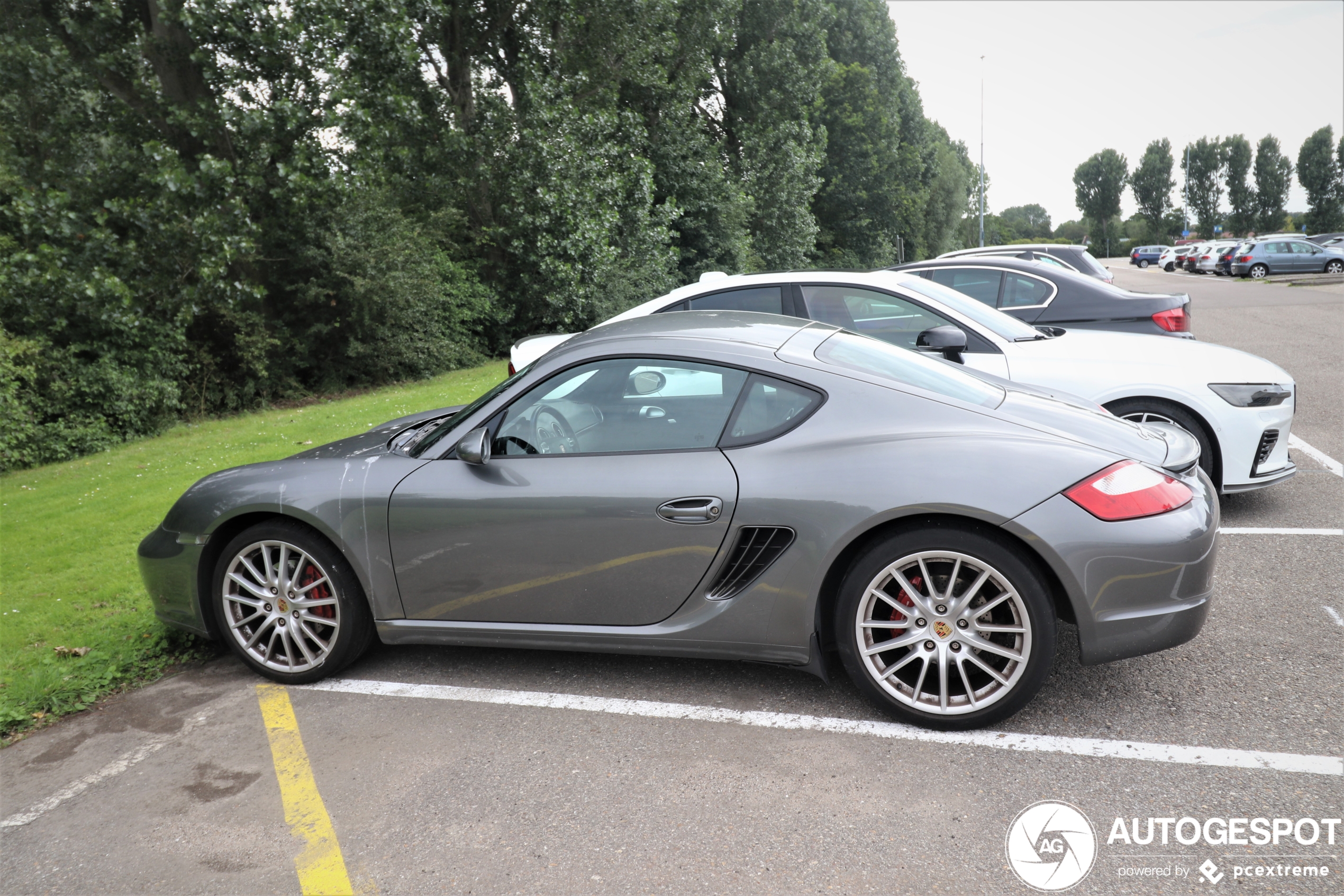 Porsche 987 Cayman S