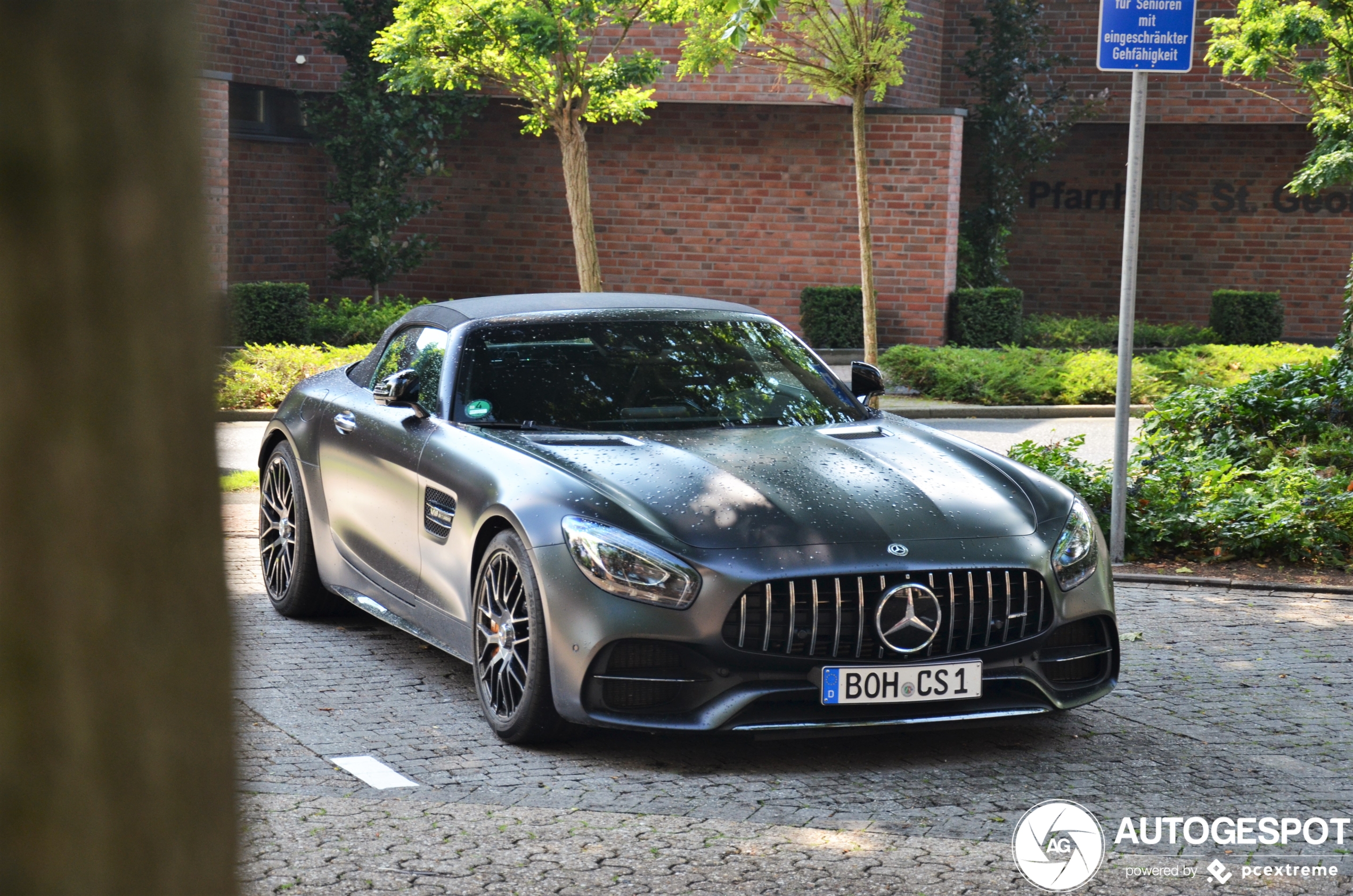 Mercedes-AMG GT C Roadster R190 Edition 50