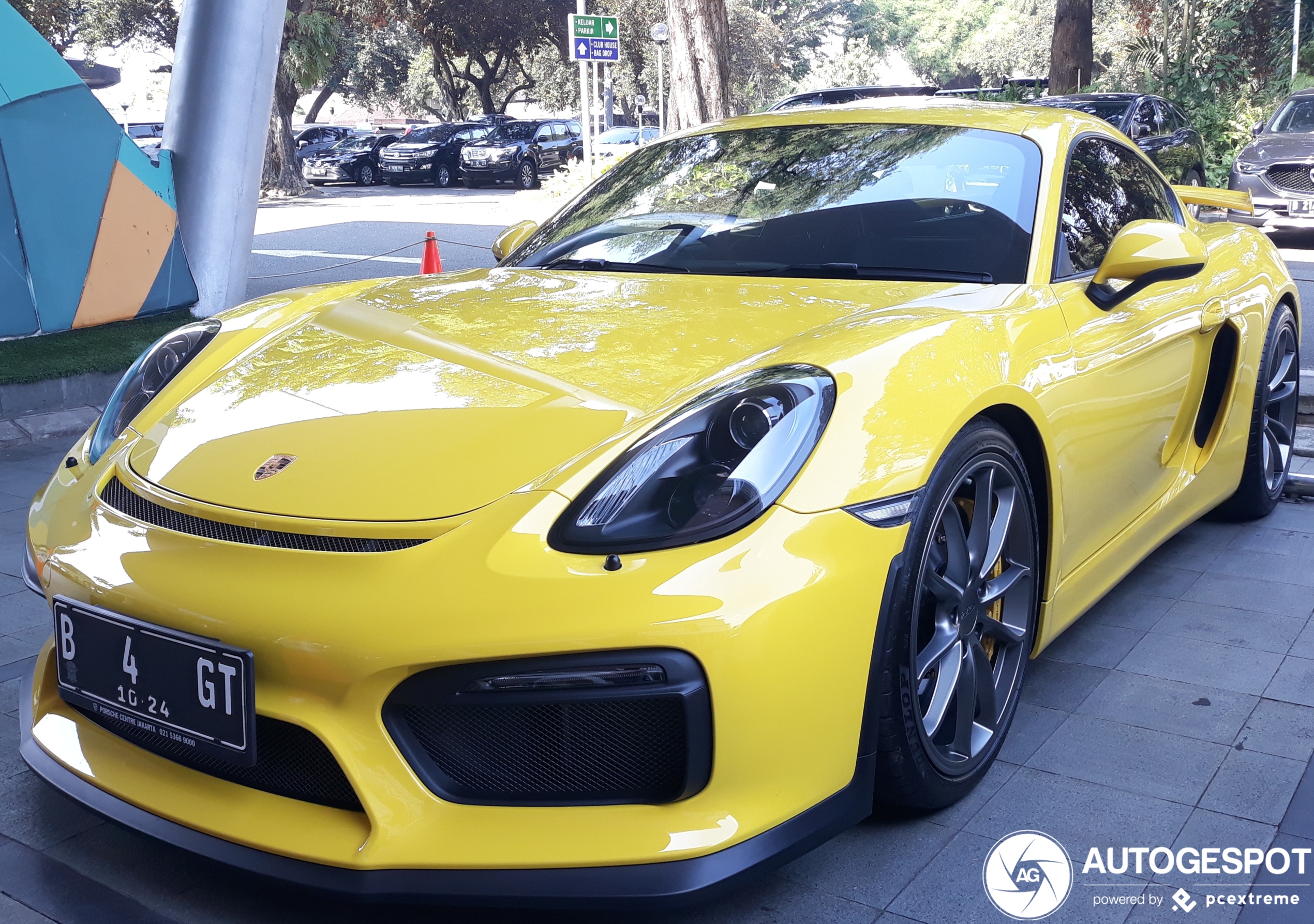 Porsche 981 Cayman GT4