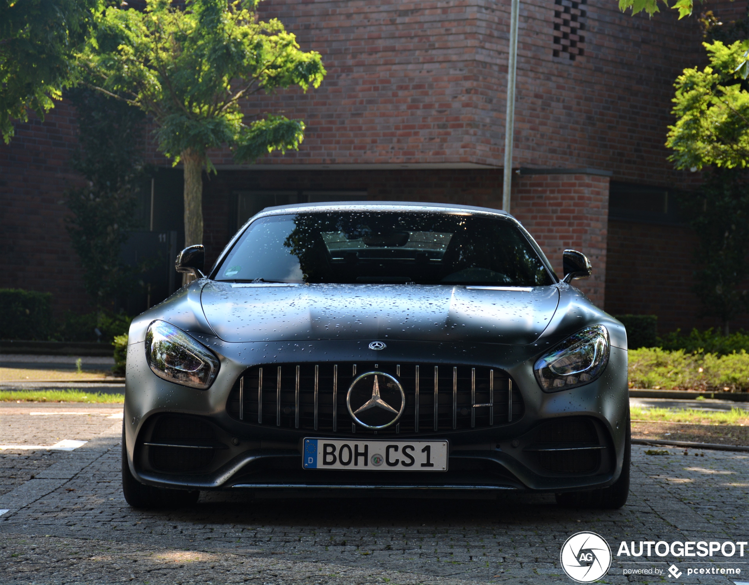 Mercedes-AMG GT C Roadster R190 Edition 50