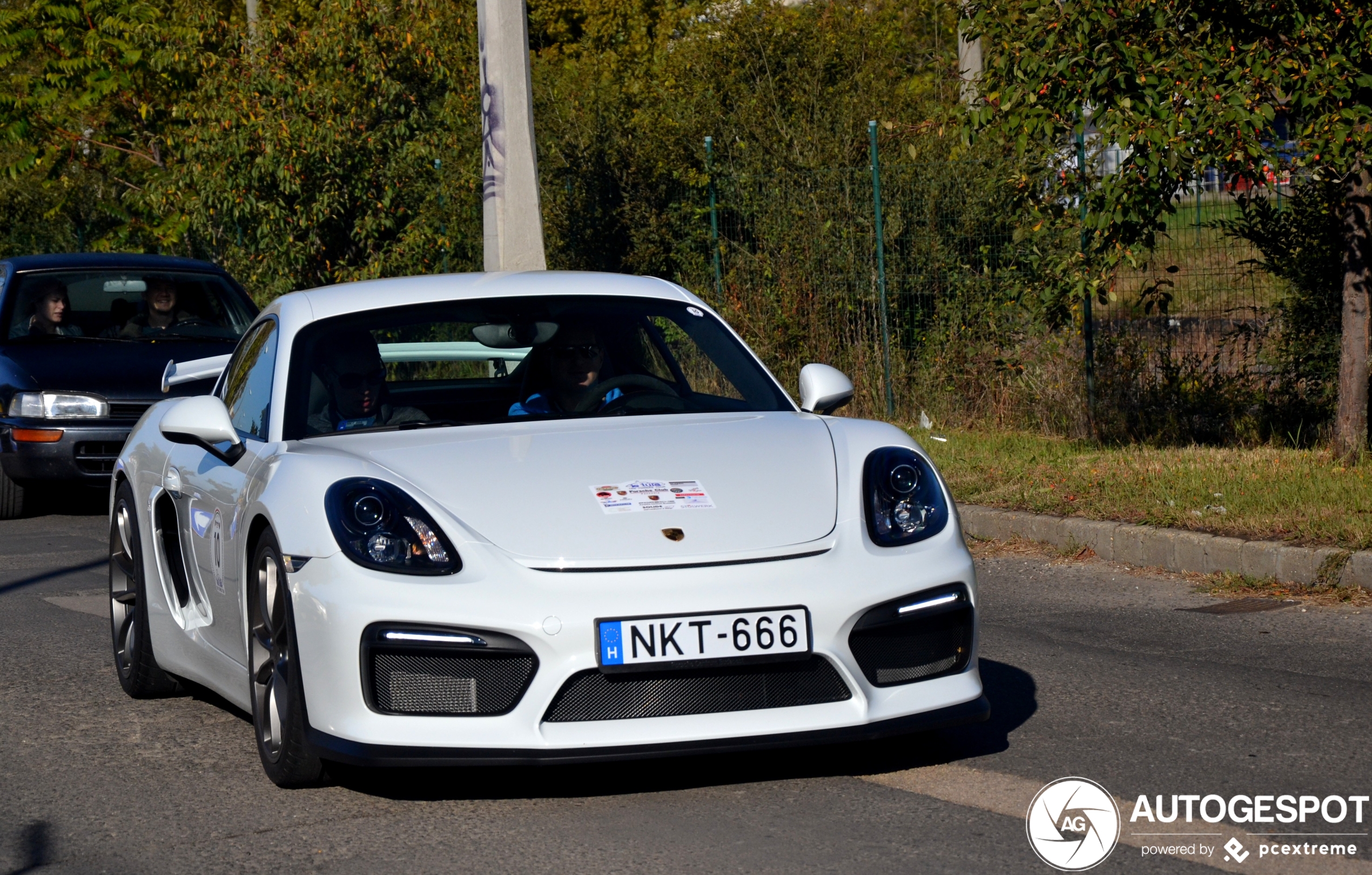 Porsche 981 Cayman GT4