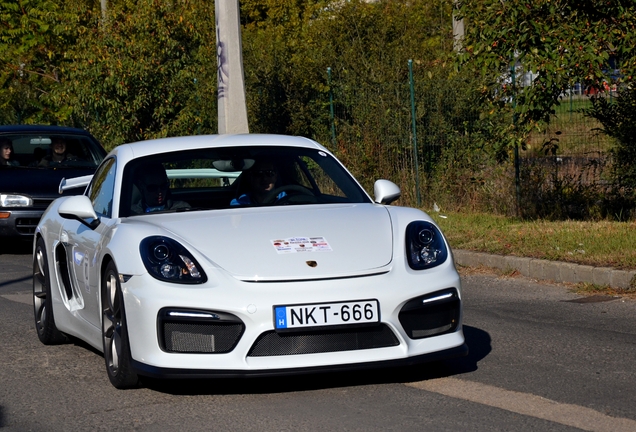 Porsche 981 Cayman GT4