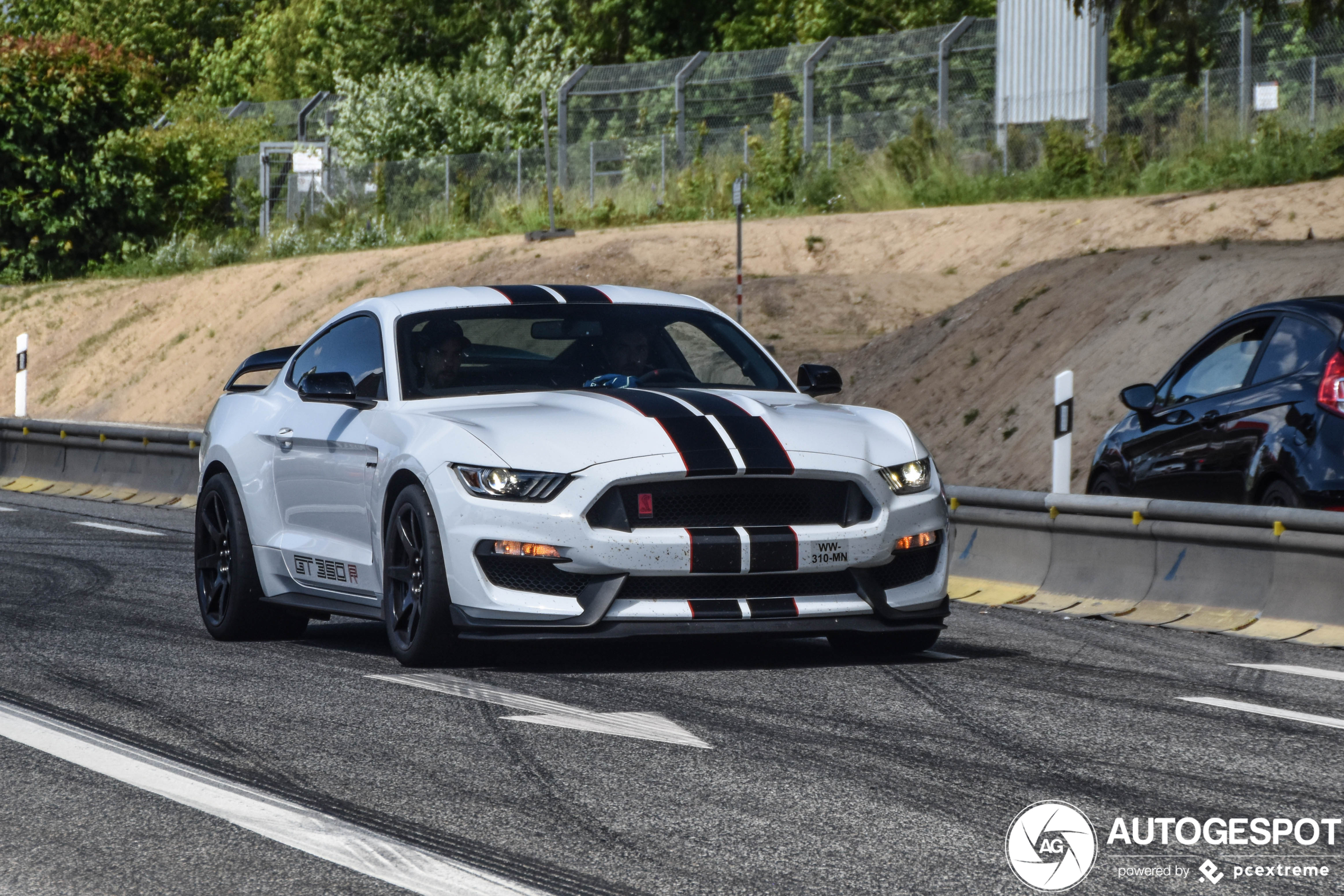 Ford Mustang Shelby GT350R 2015