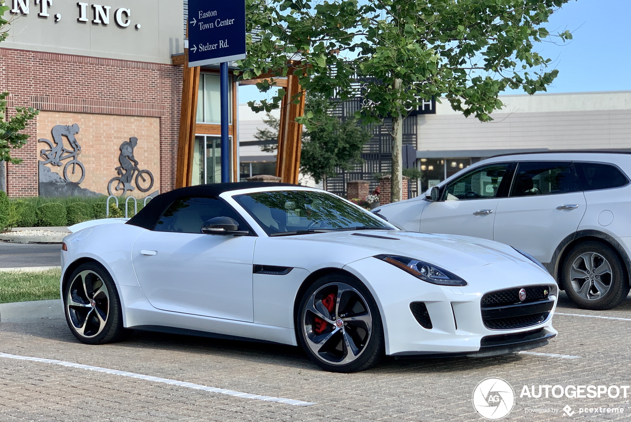 Jaguar F-TYPE S V8 Convertible