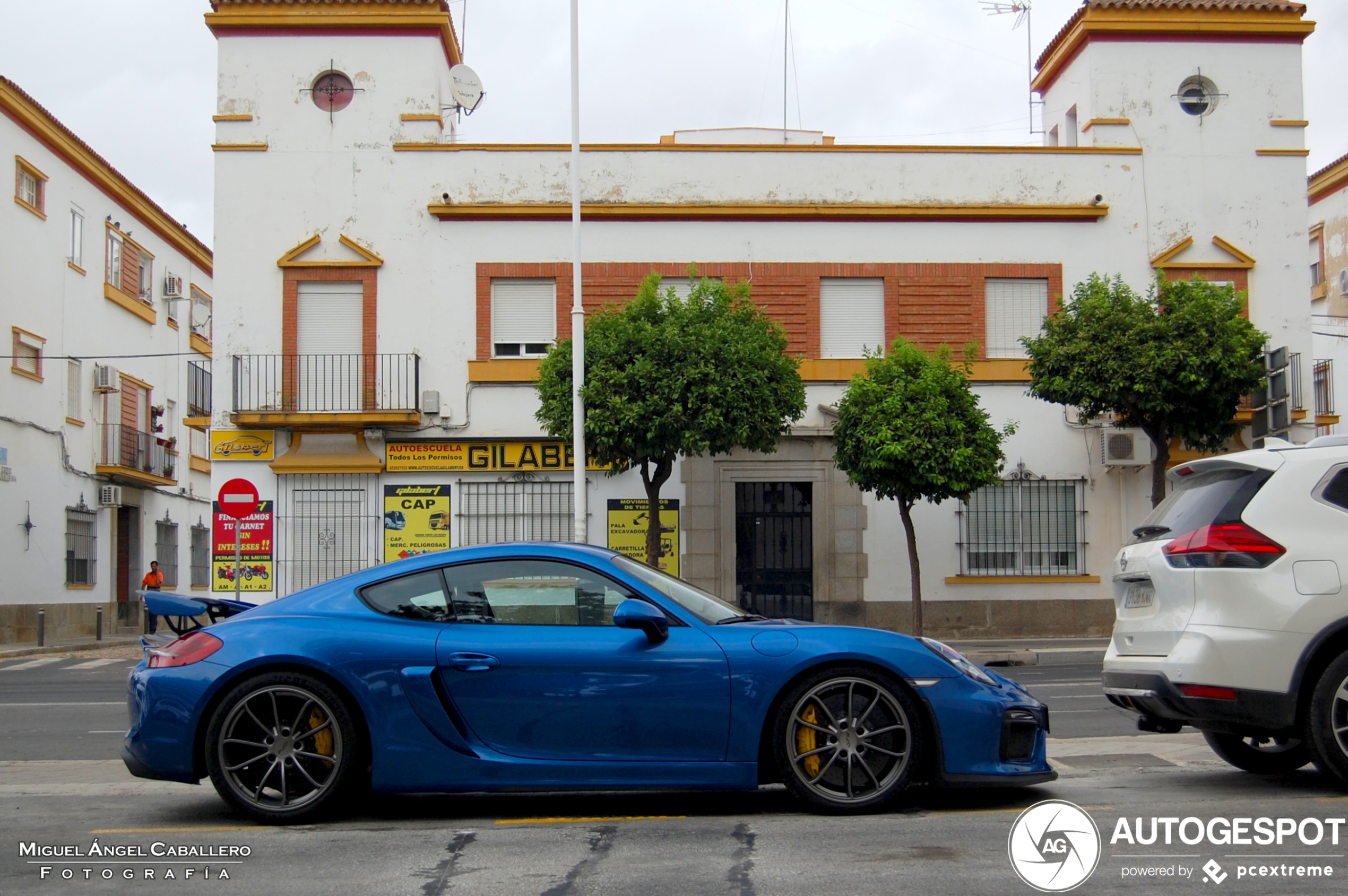 Porsche 981 Cayman GT4