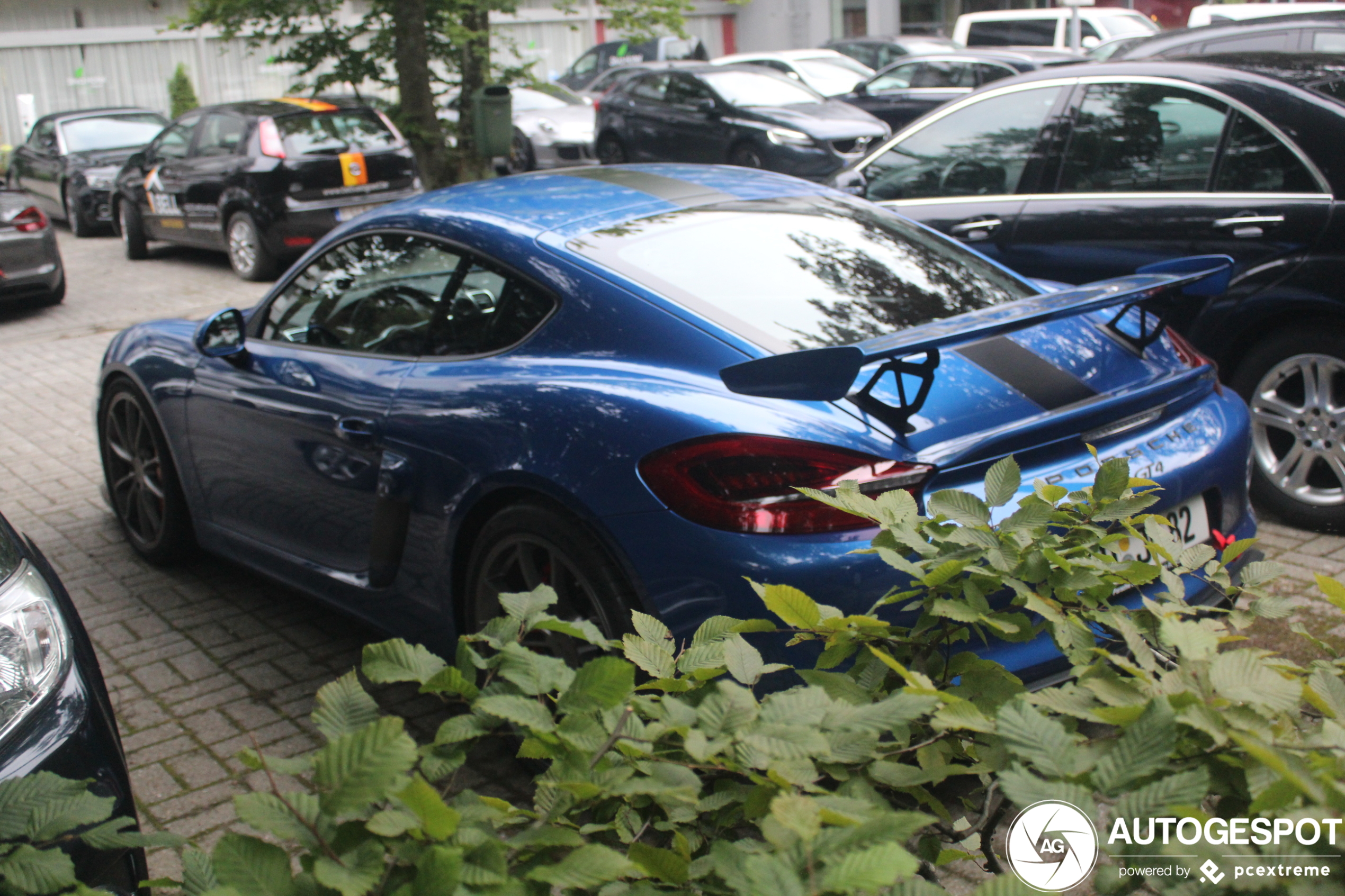 Porsche 981 Cayman GT4