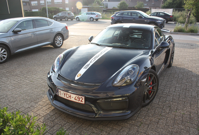 Porsche 981 Cayman GT4