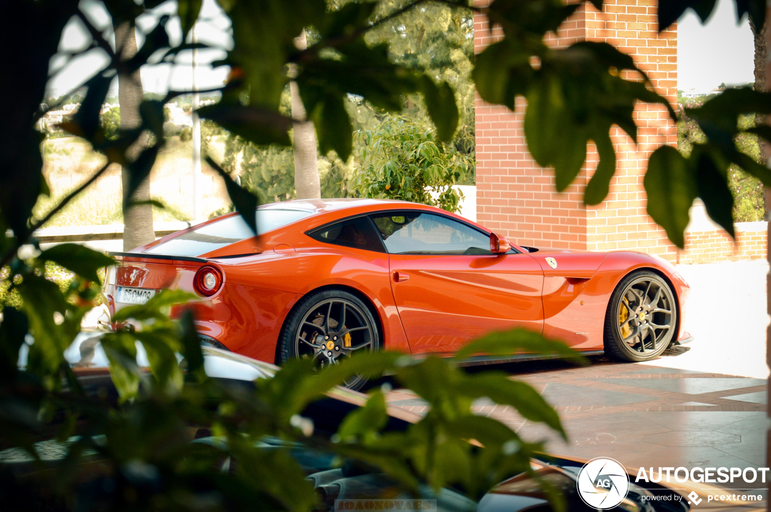 Ferrari F12berlinetta Novitec Rosso