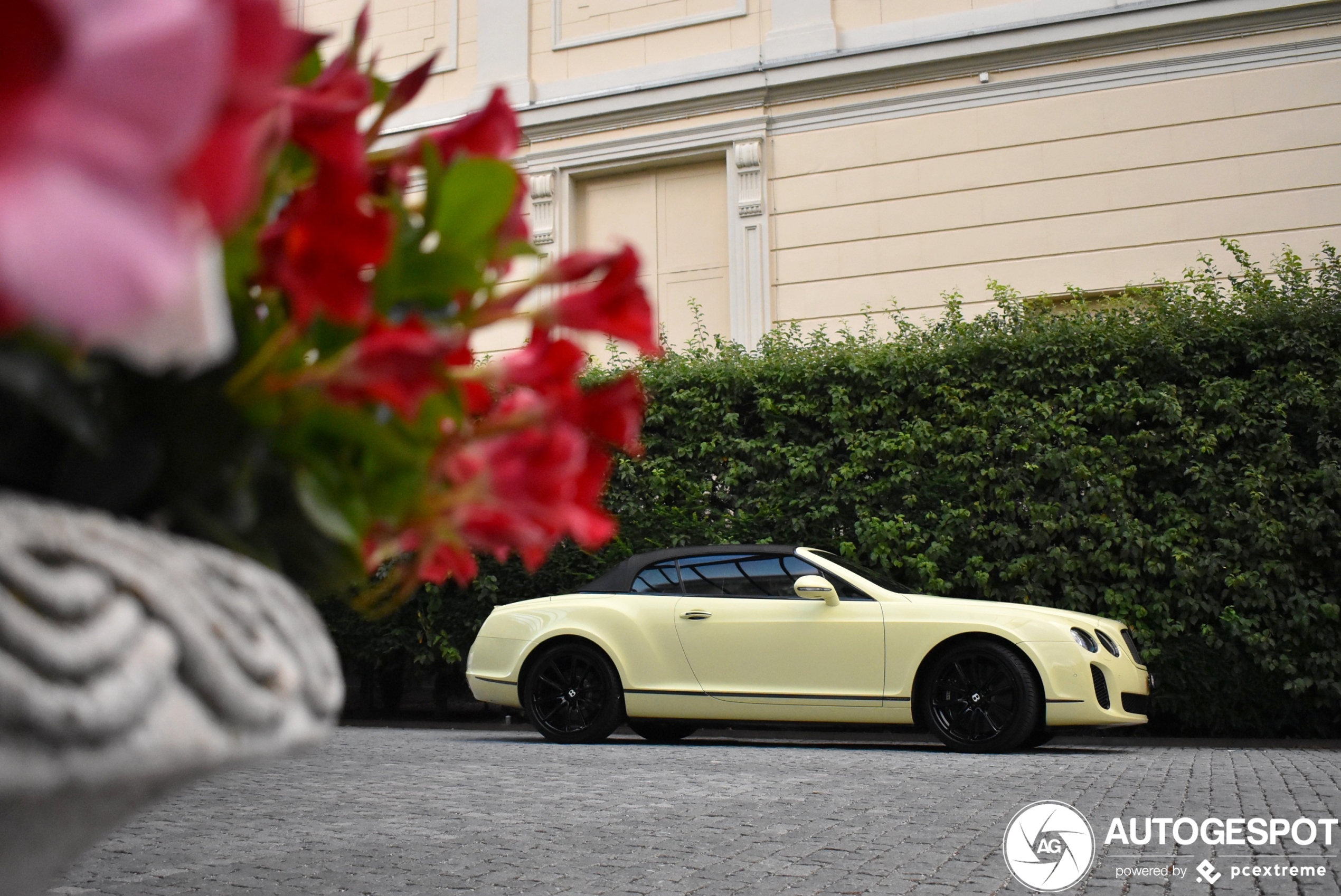 Bentley Continental Supersports Convertible