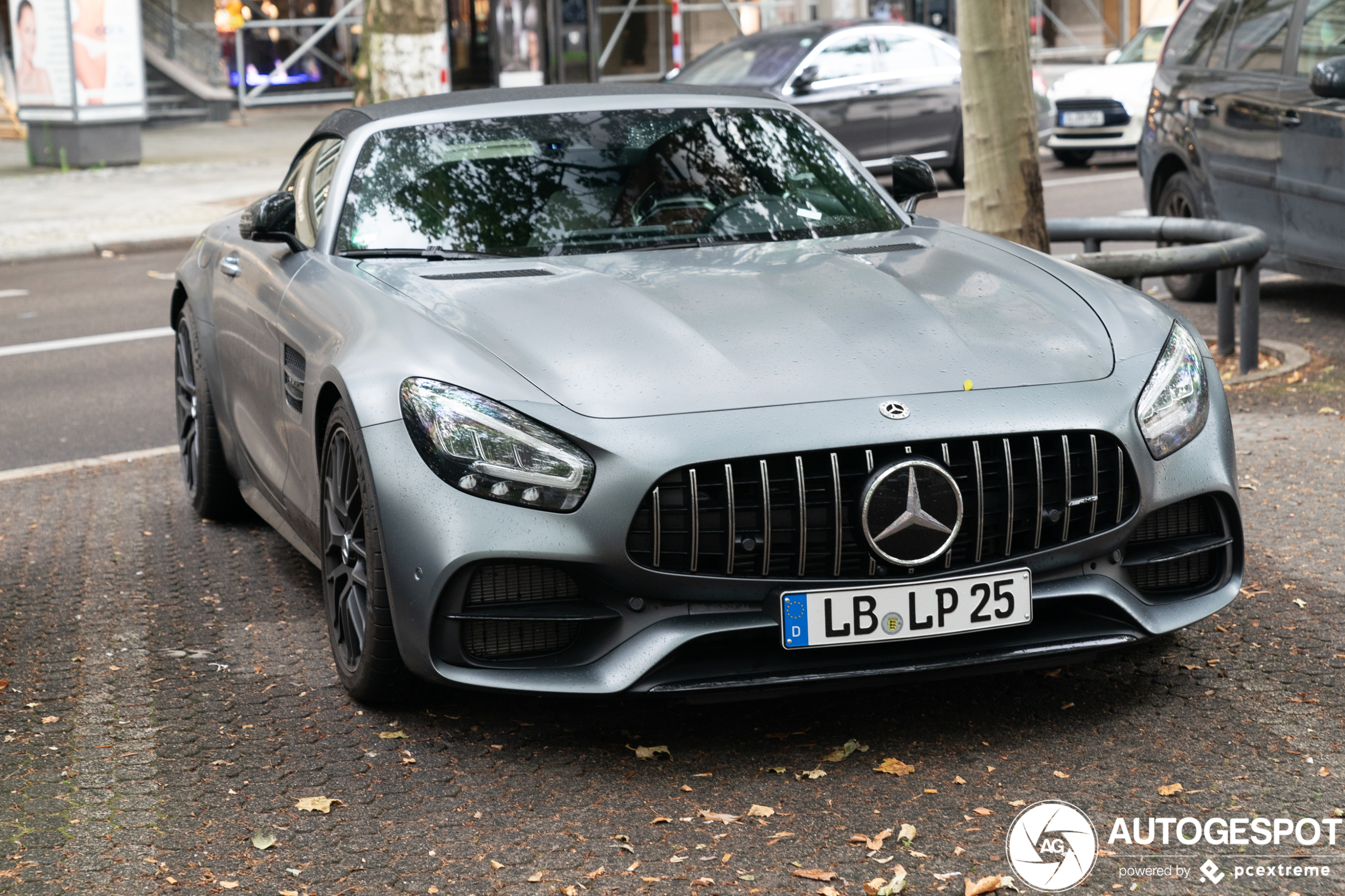 Mercedes-AMG GT C Roadster R190 2019