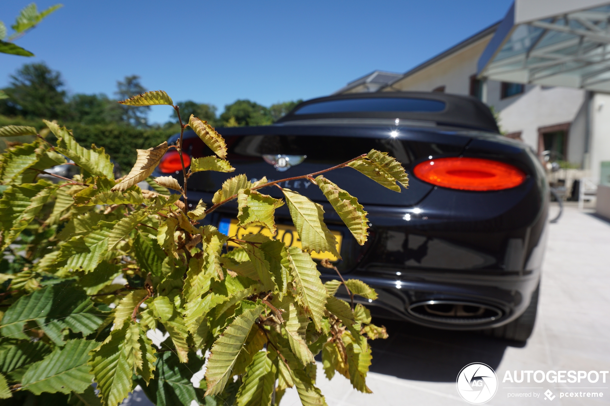 Bentley Continental GTC 2019