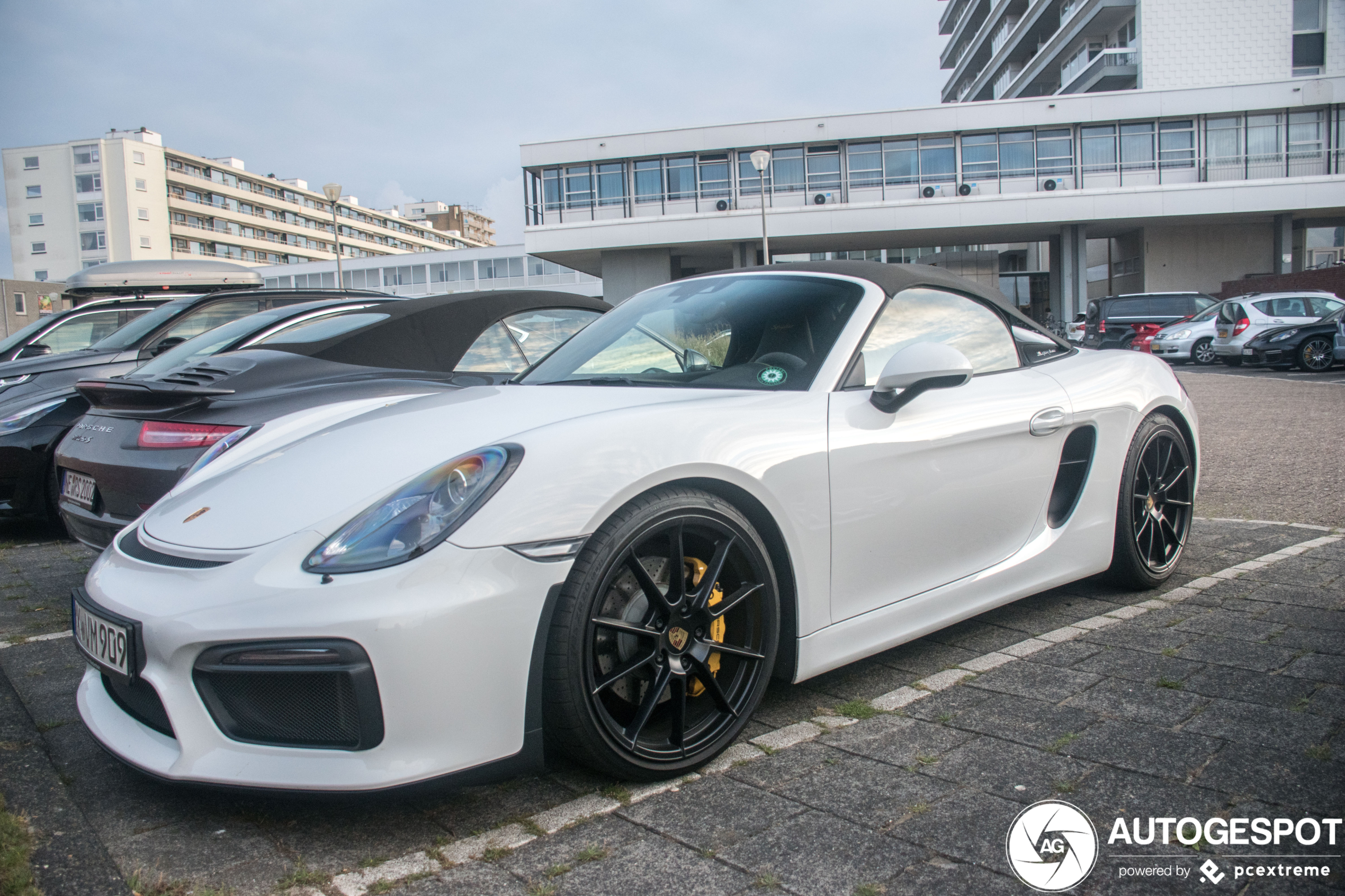 Porsche 981 Boxster Spyder