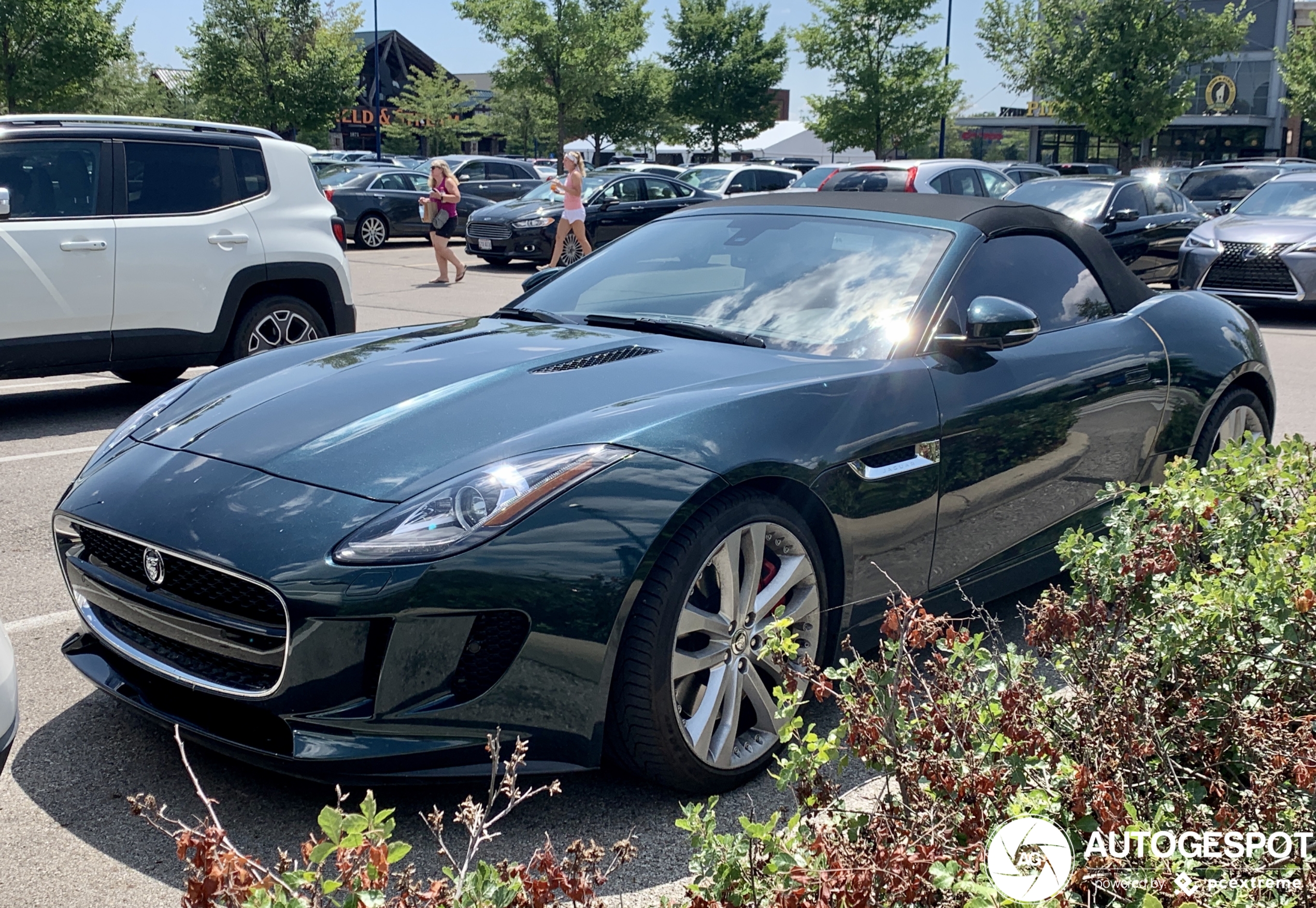 Jaguar F-TYPE S Convertible