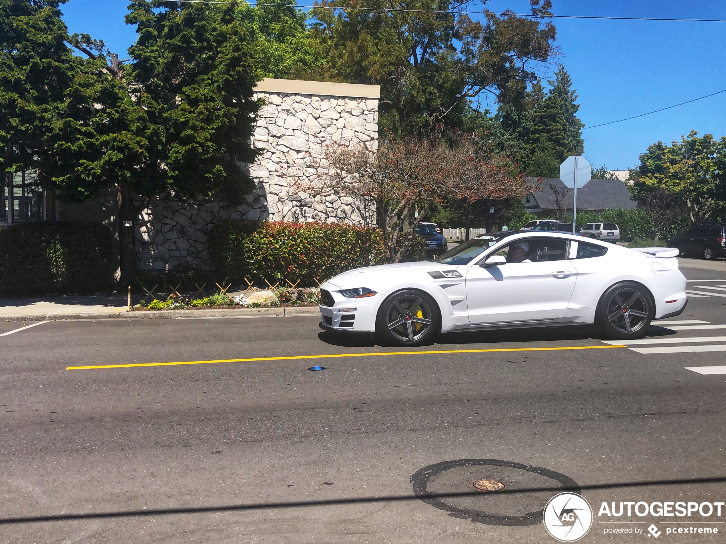 Saleen S302 White Label