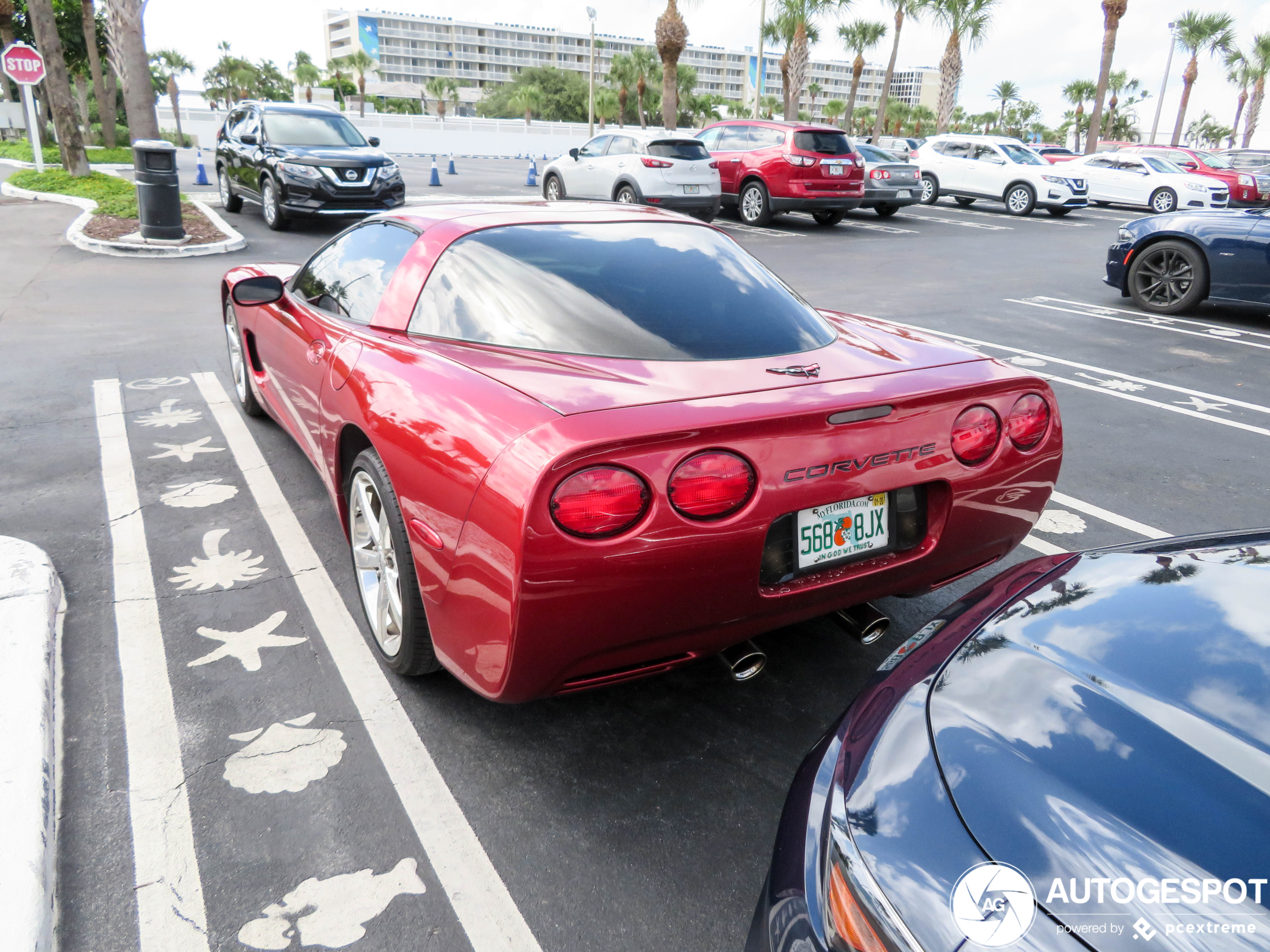 Chevrolet Corvette C5