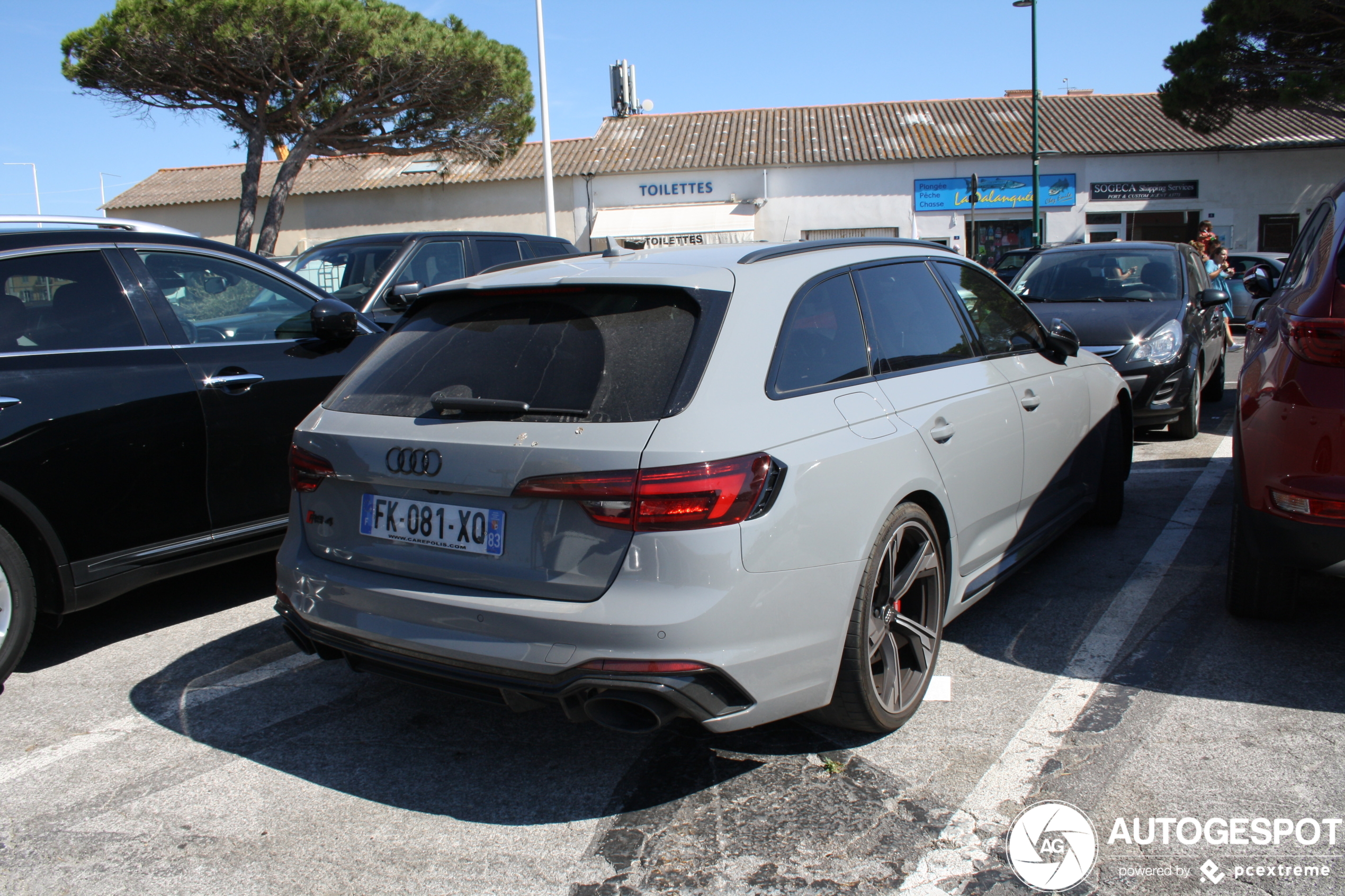 Audi RS4 Avant B9