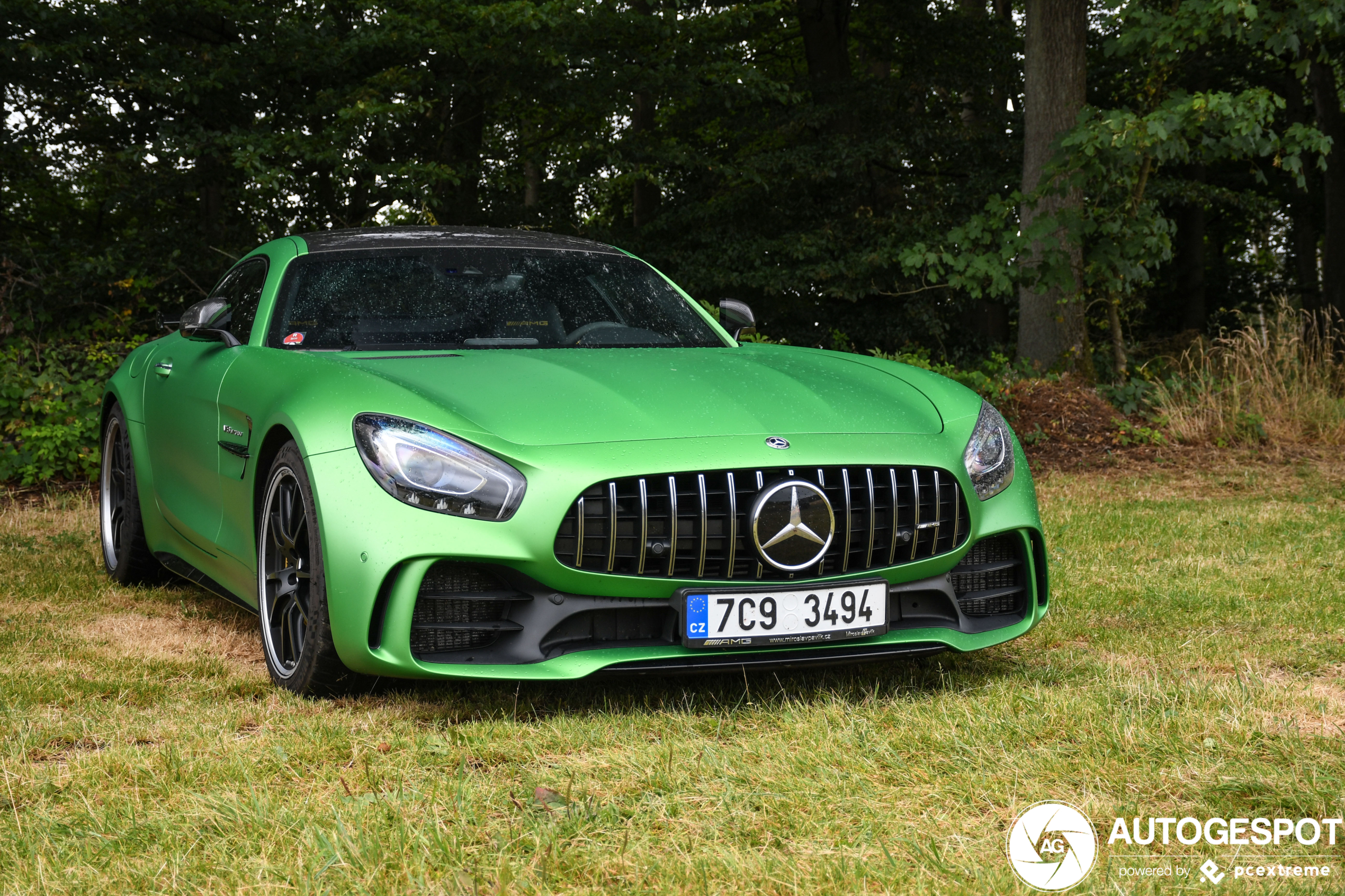 Mercedes-AMG GT R C190