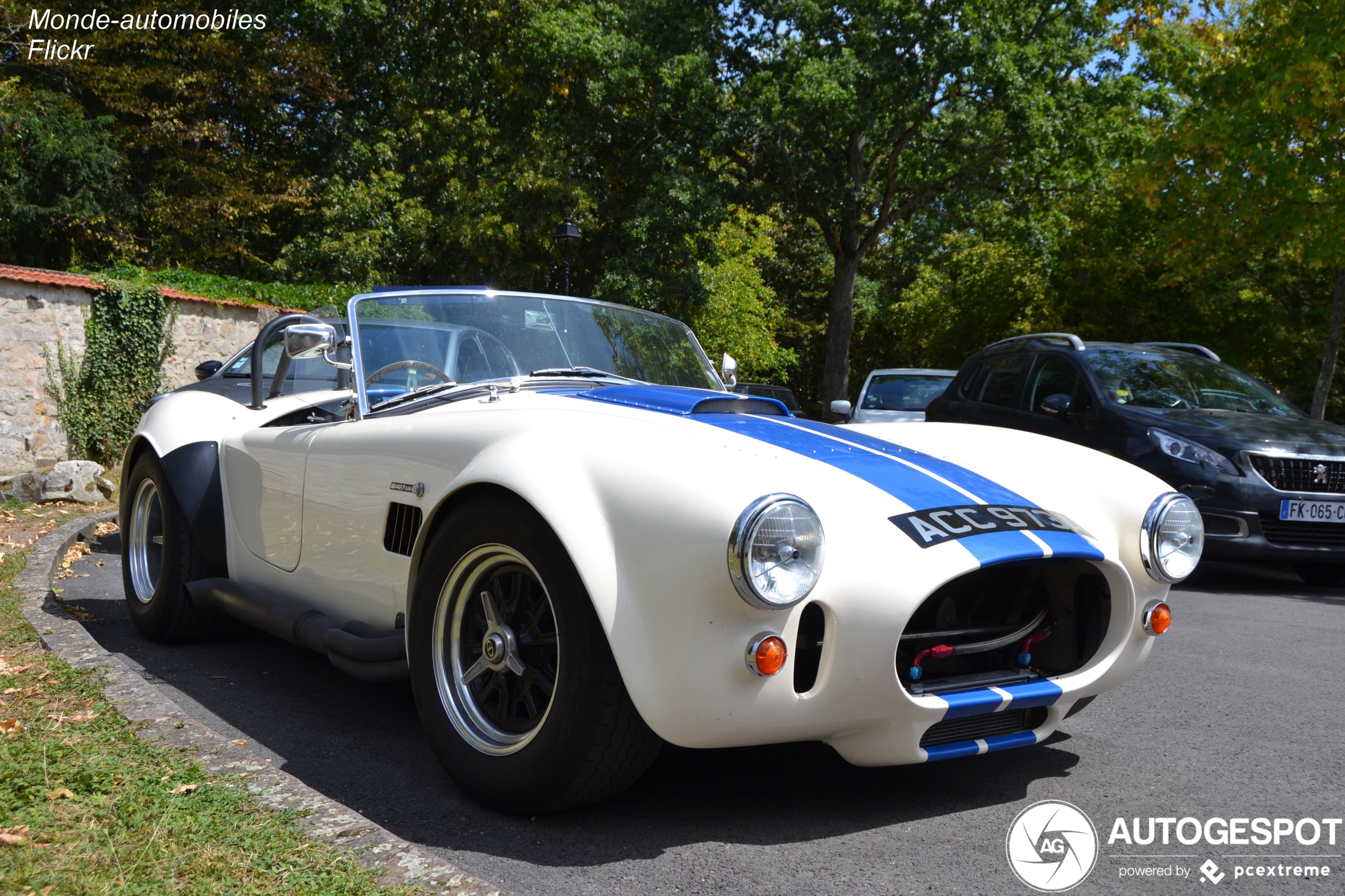 AC Cobra