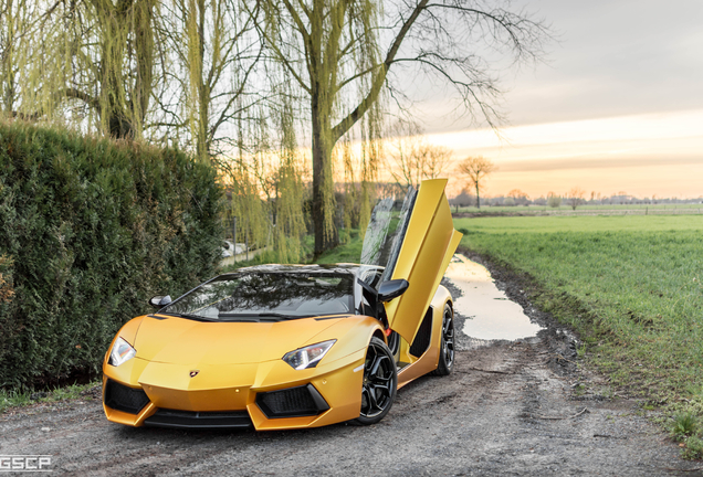 Lamborghini Aventador LP700-4