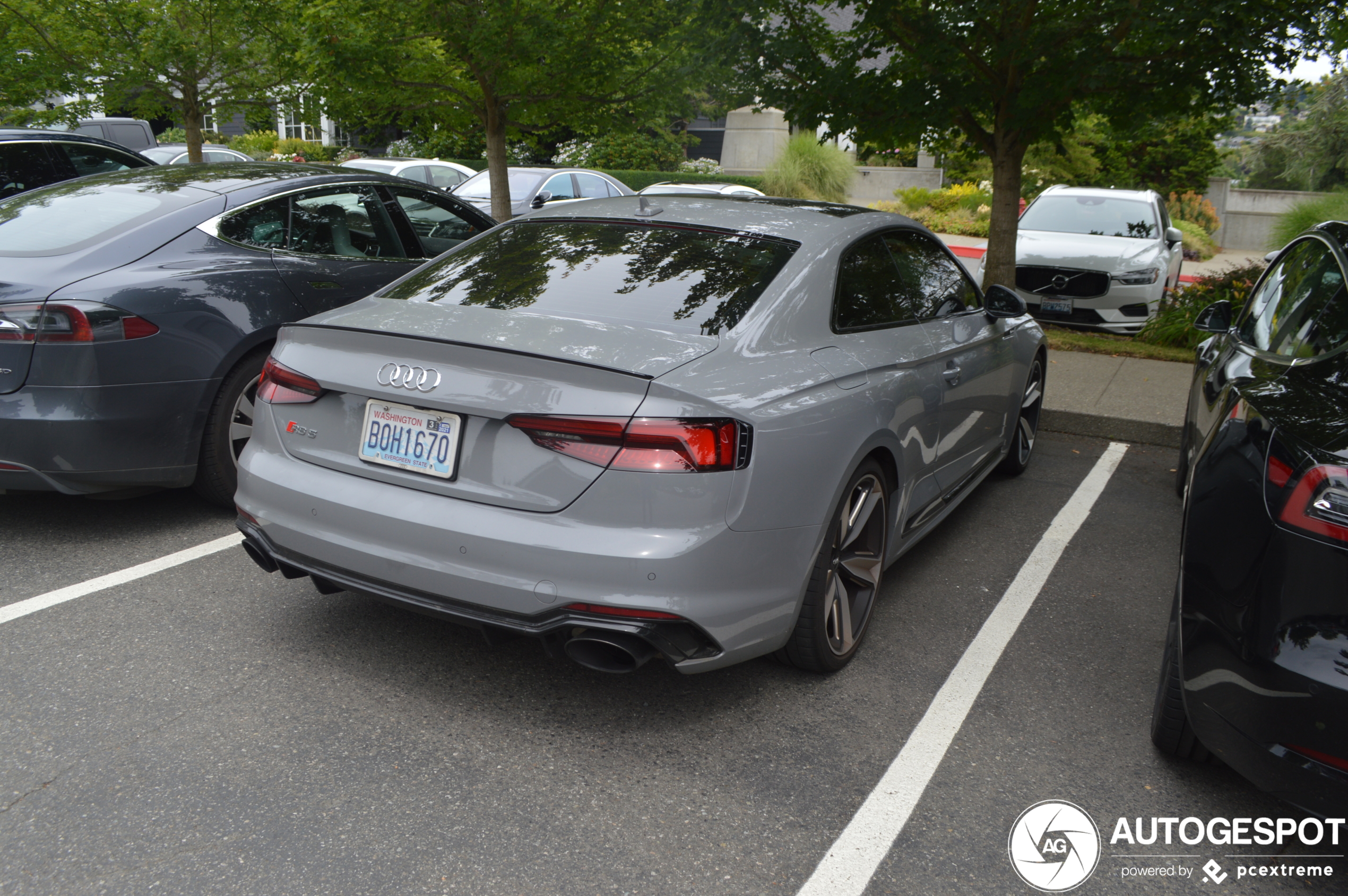 Audi RS5 B9