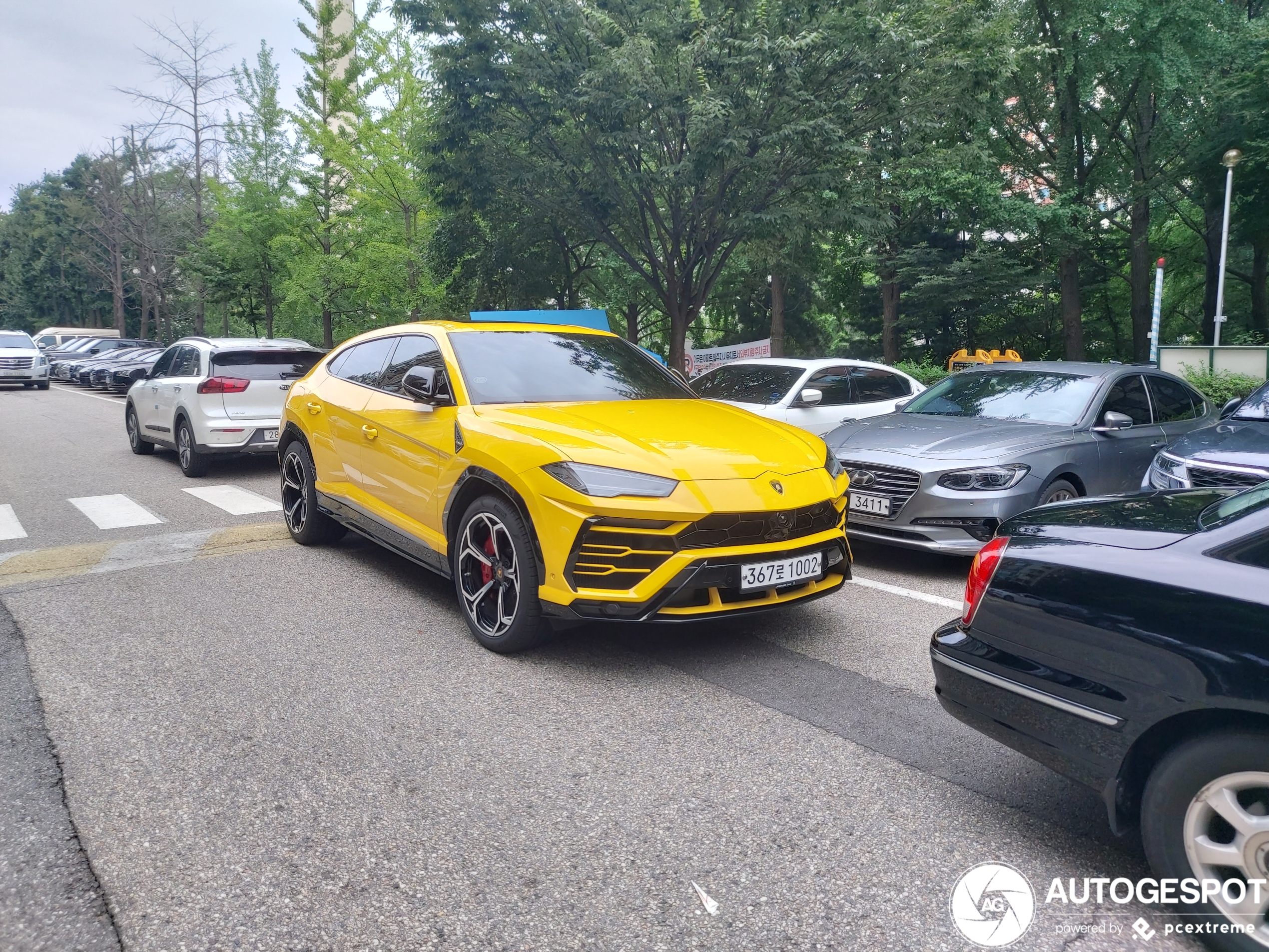 Lamborghini Urus