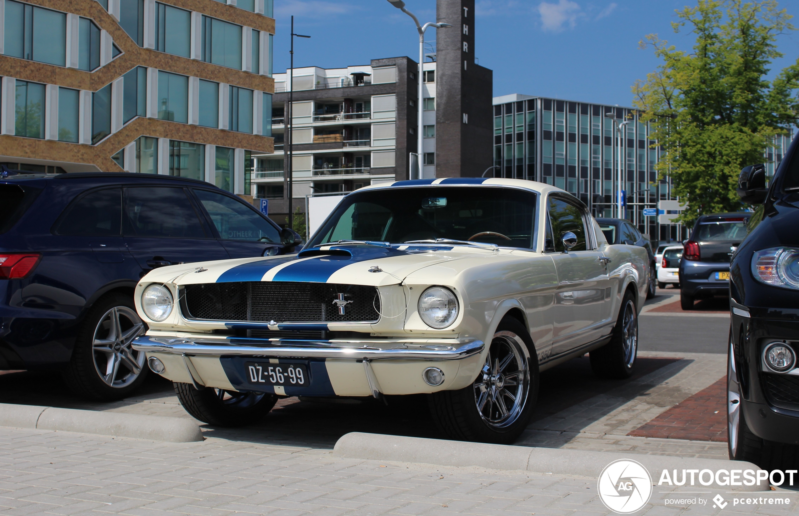 Ford Mustang Shelby G.T. 350