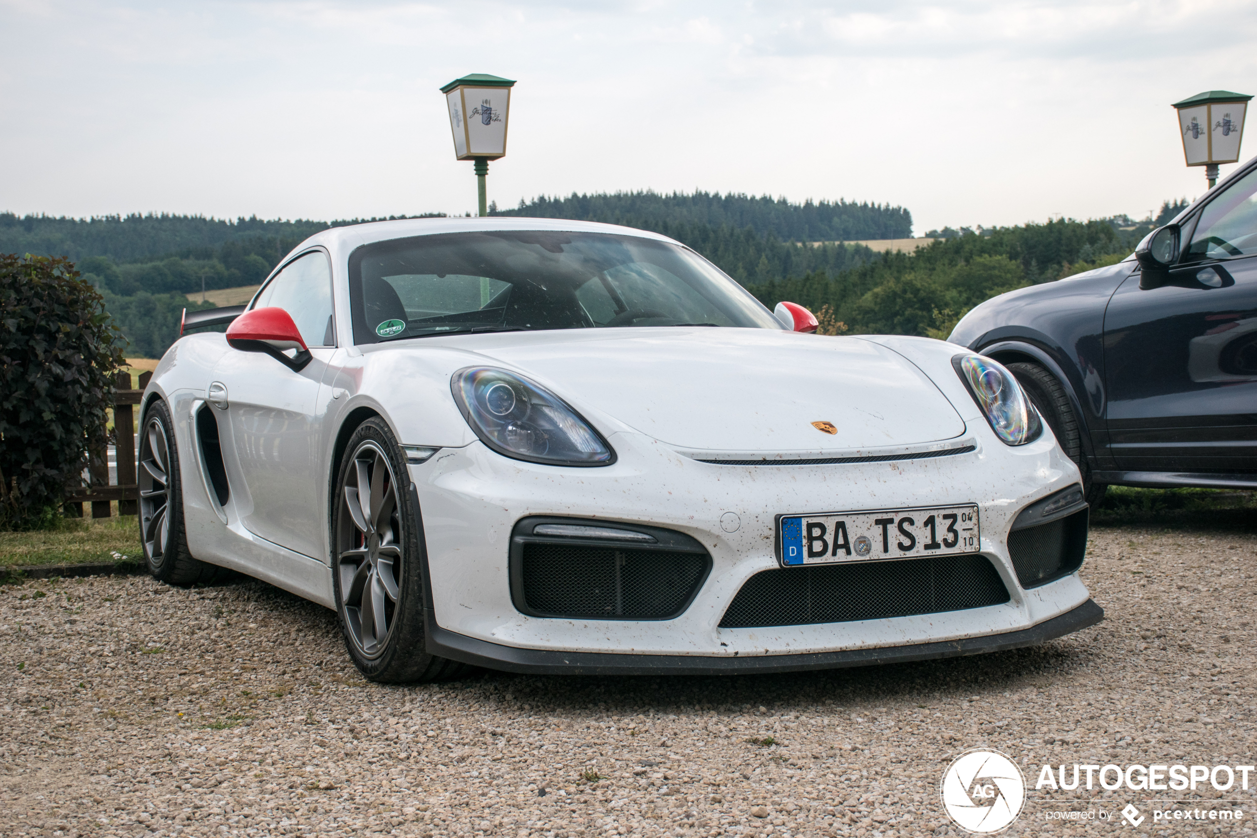 Porsche 981 Cayman GT4