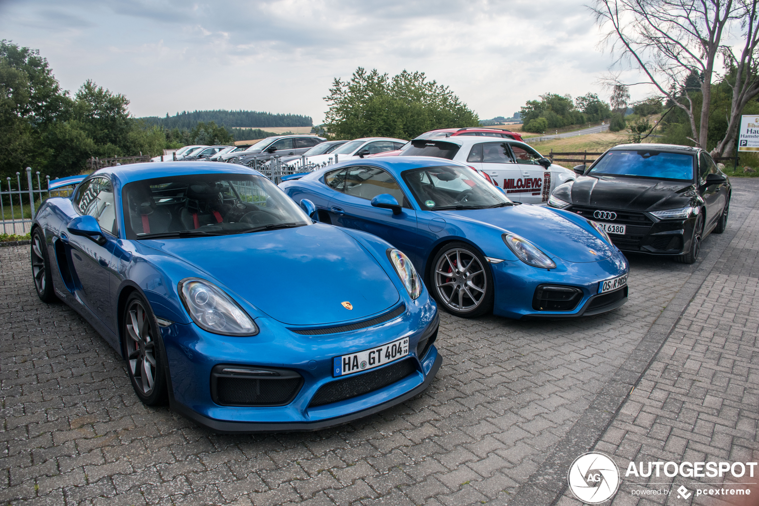 Porsche 981 Cayman GT4