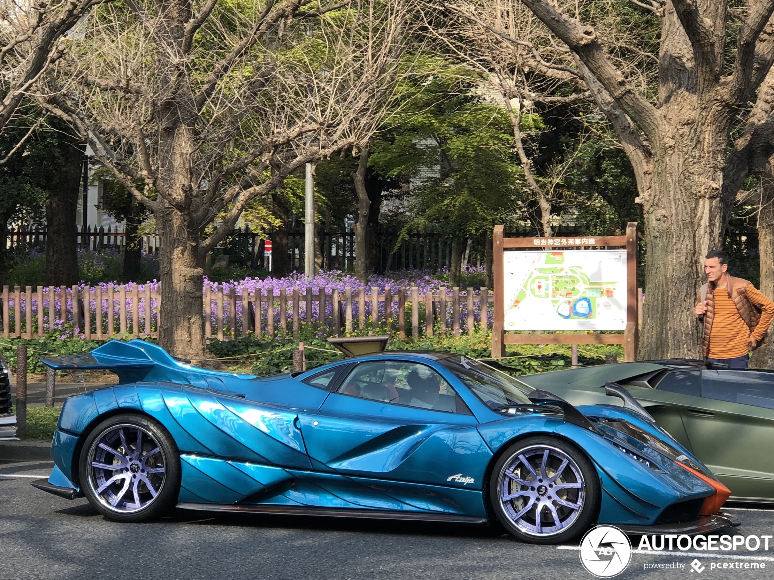 Pagani Zonda Anija Design