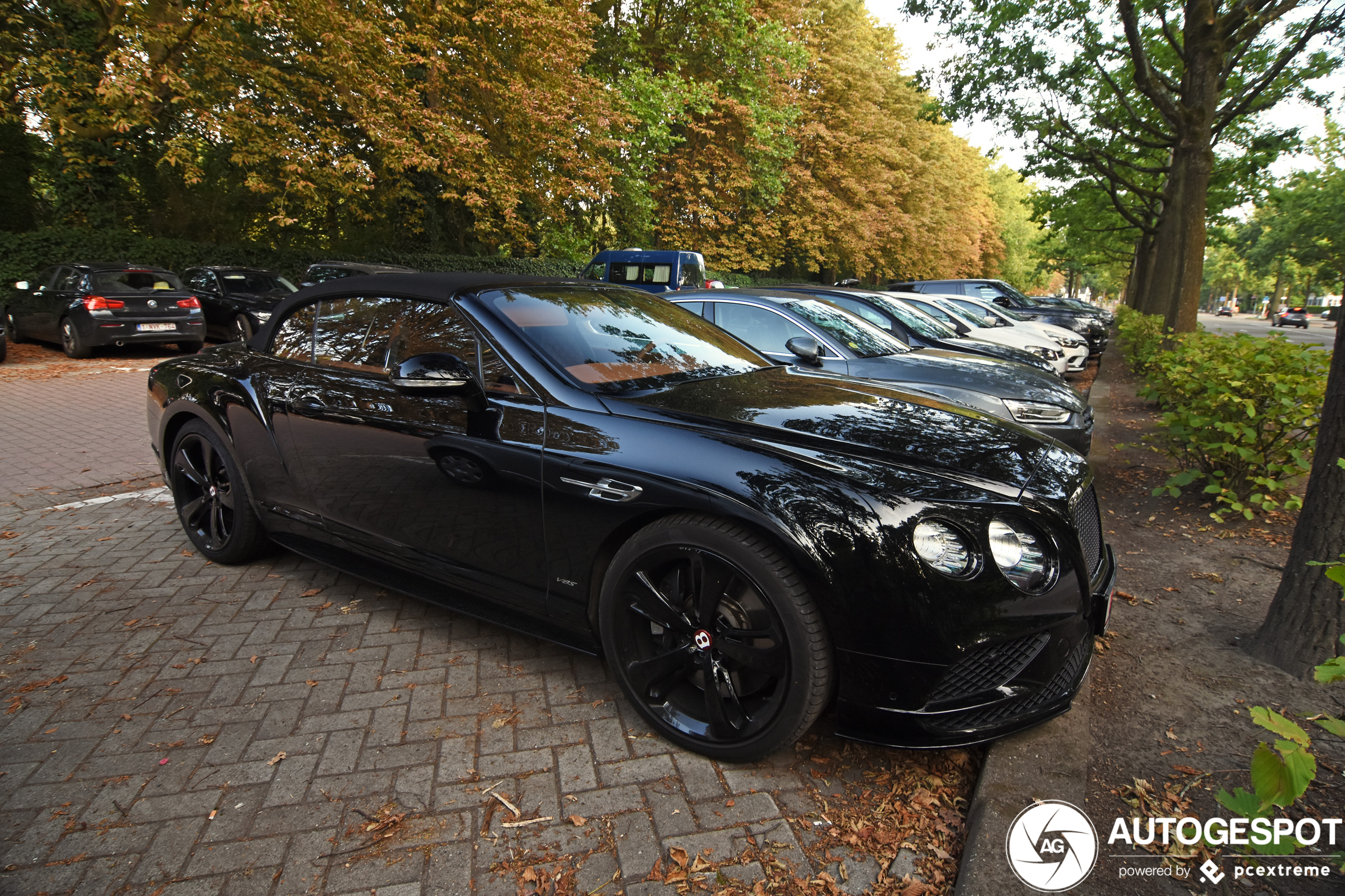 Bentley Continental GTC V8 S 2016