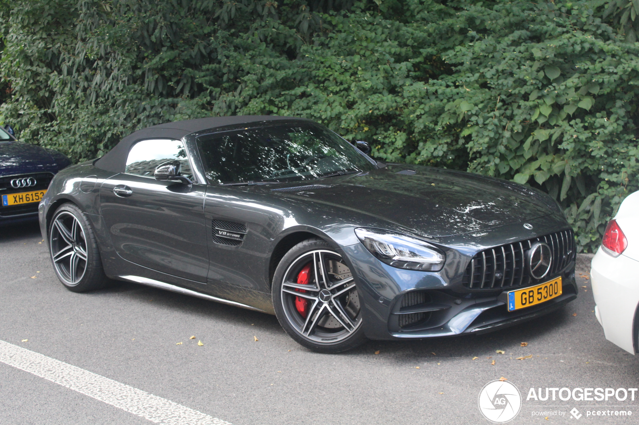 Mercedes-AMG GT C Roadster R190 2019