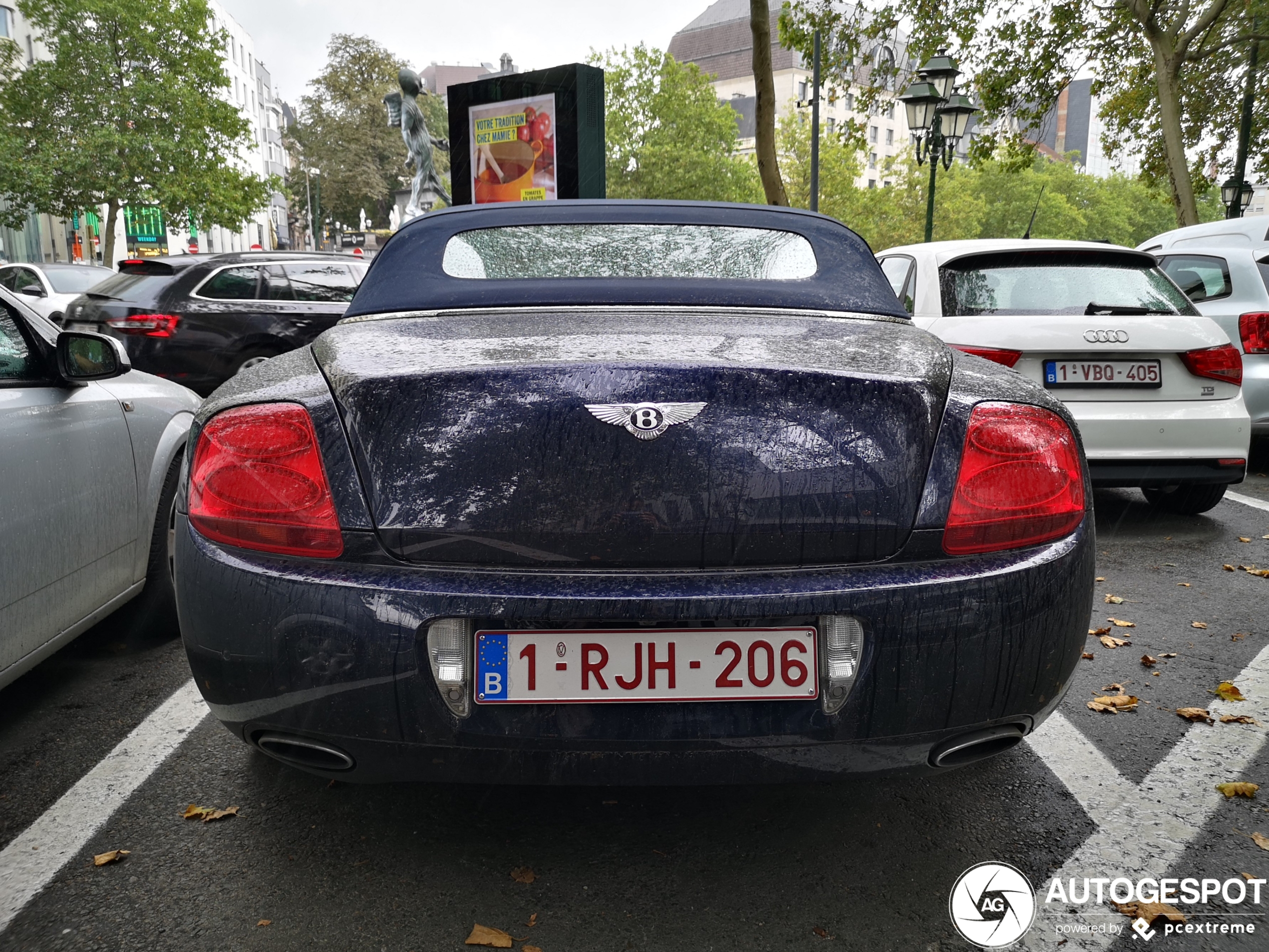 Bentley Continental GTC