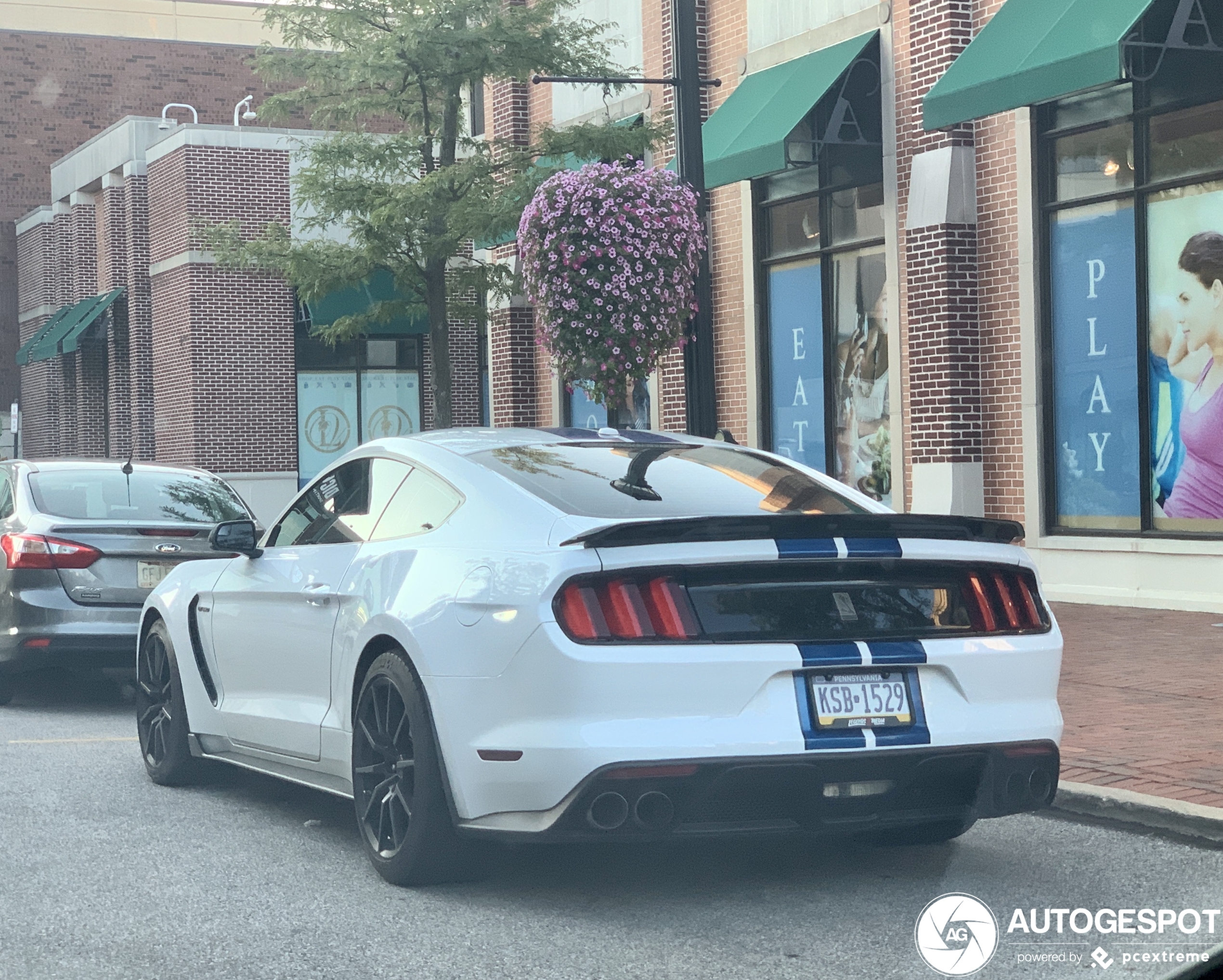 Ford Mustang Shelby GT350 2015