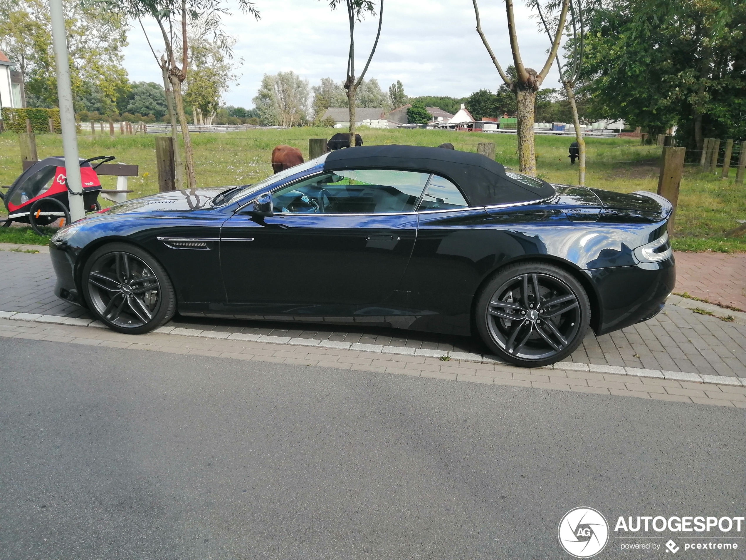 Aston Martin DB9 Volante 2013