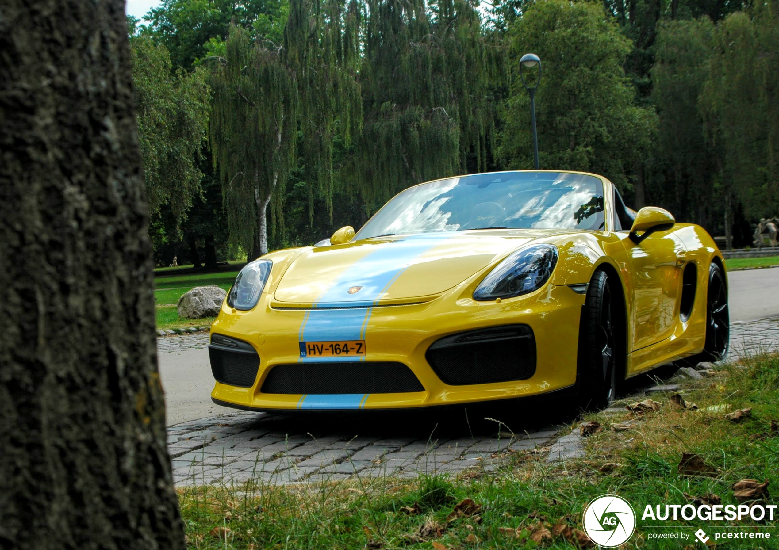 Porsche 981 Boxster Spyder