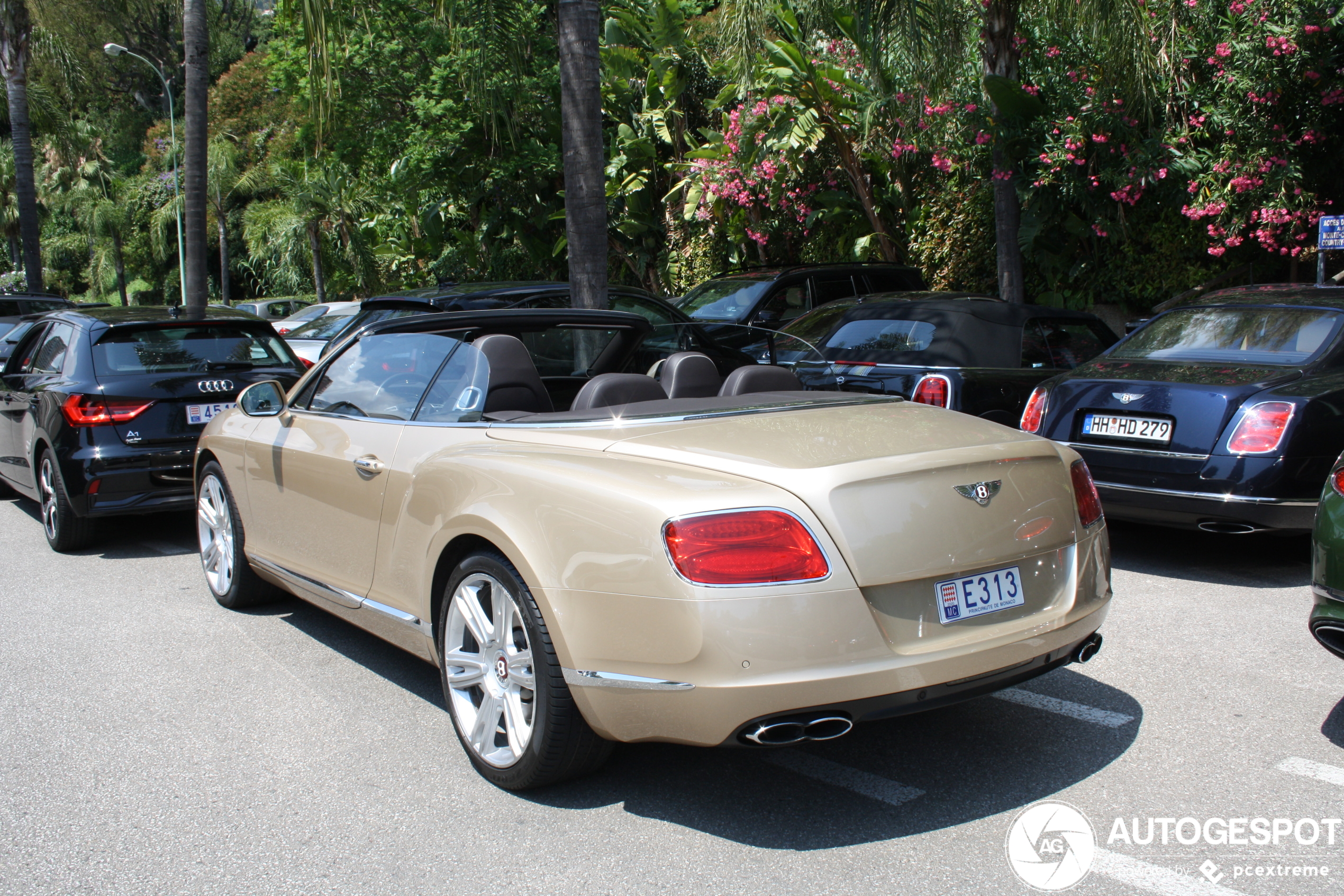 Bentley Continental GTC V8