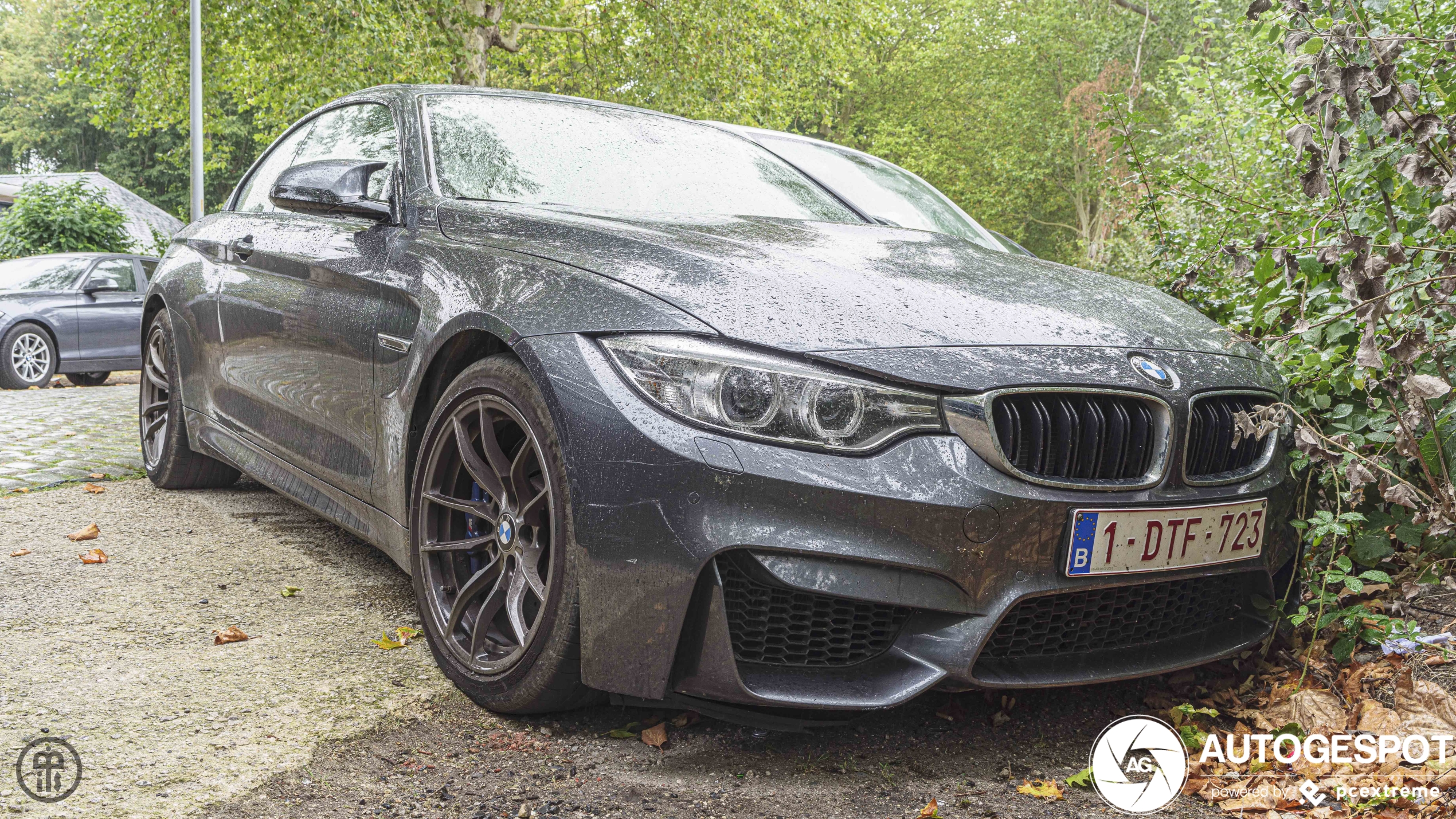 BMW M4 F83 Convertible