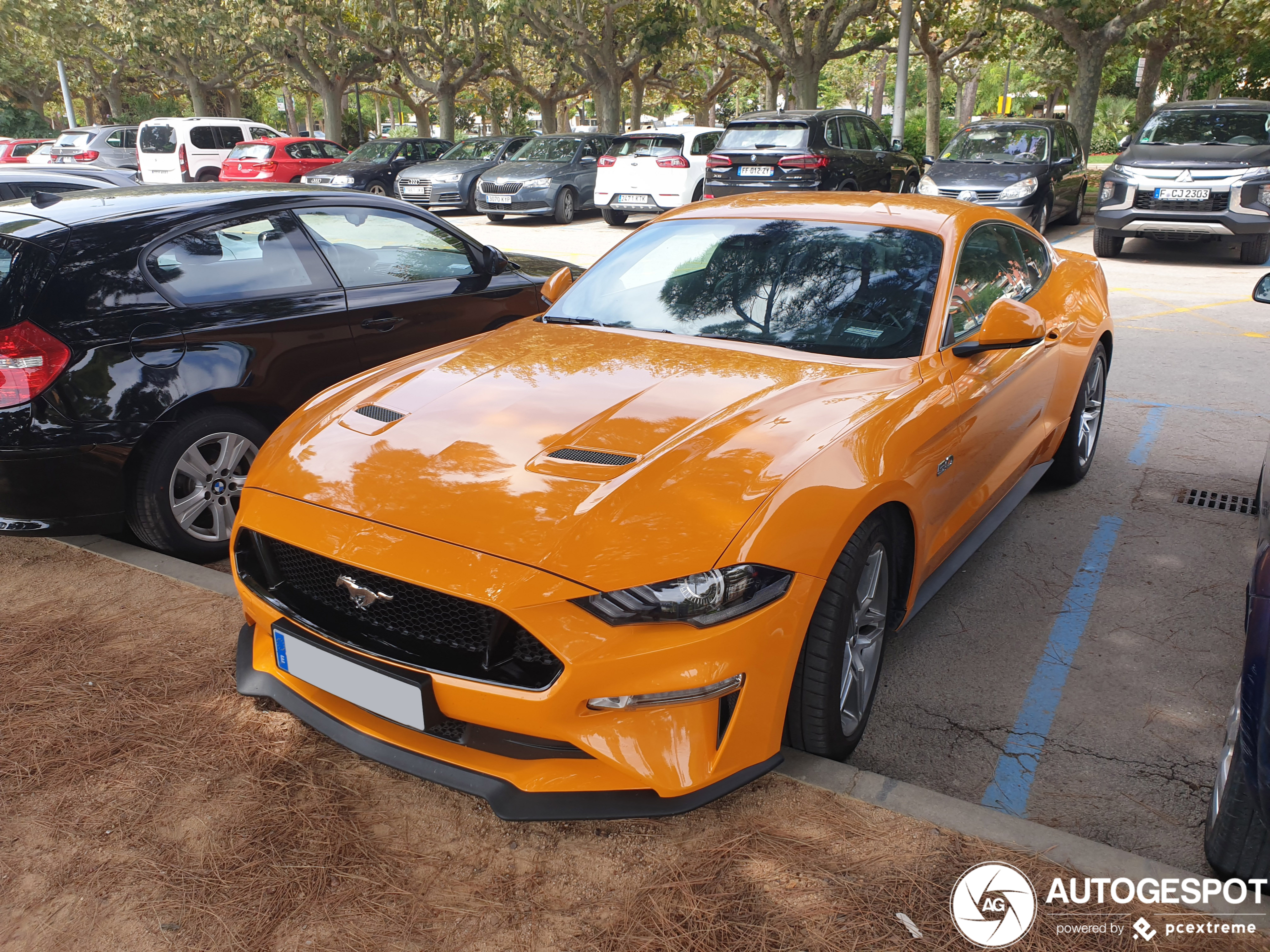 Ford Mustang GT 2018