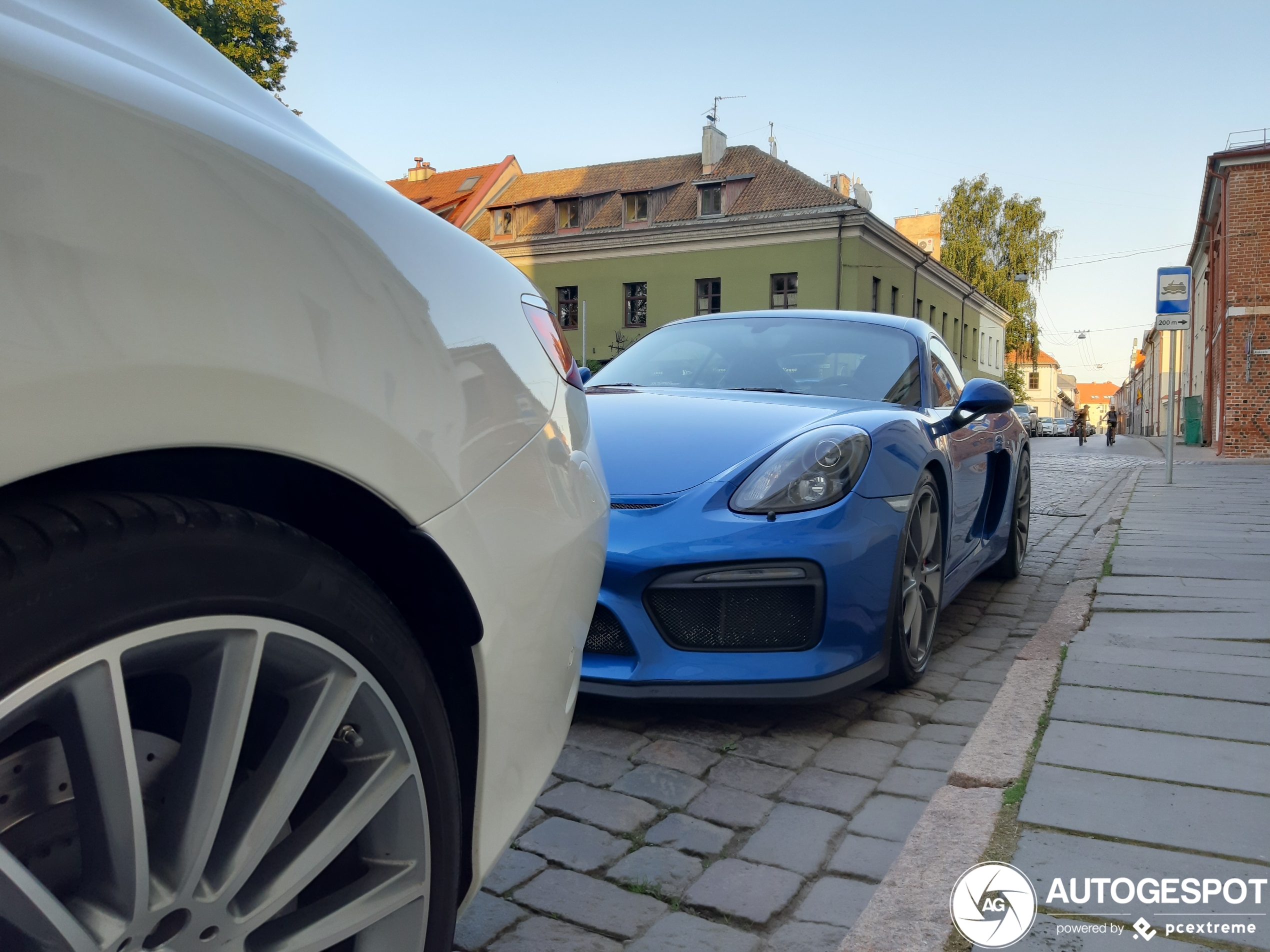 Porsche 981 Cayman GT4