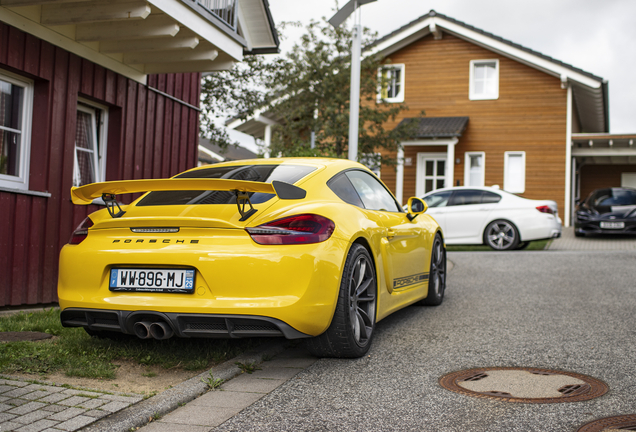 Porsche 981 Cayman GT4