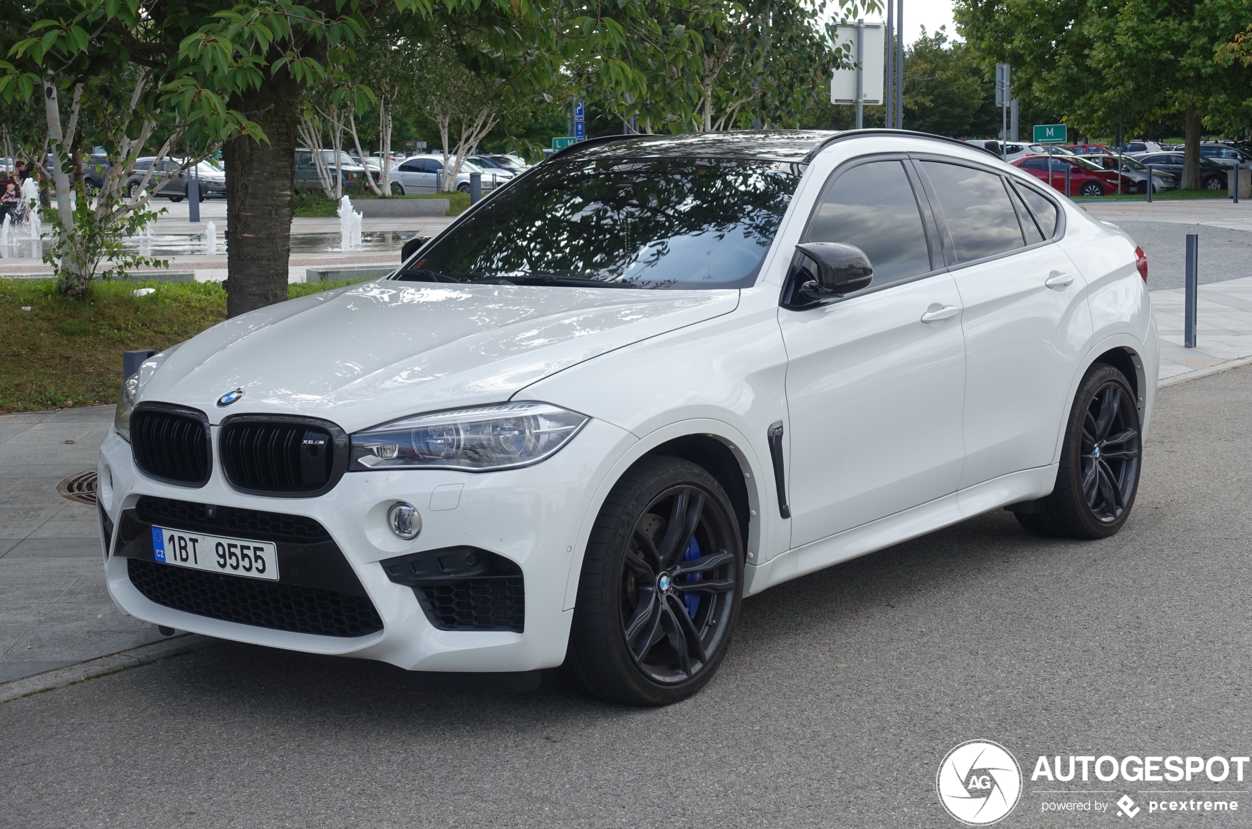 BMW X6 M F86