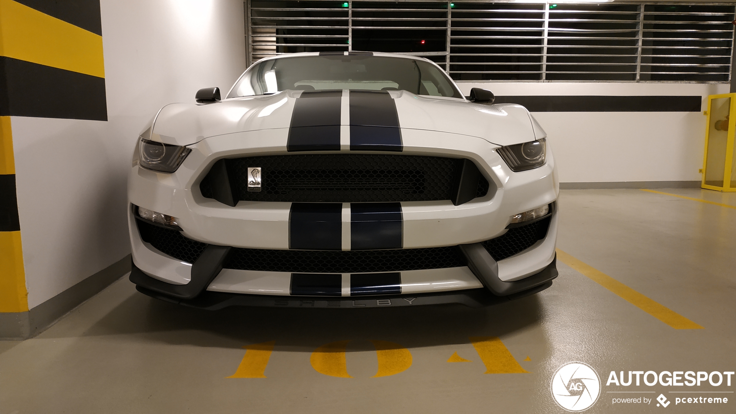 Ford Mustang Shelby GT350 2015