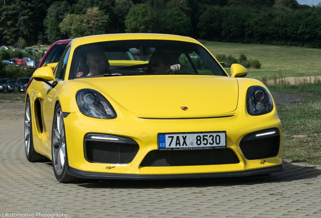 Porsche 981 Cayman GT4