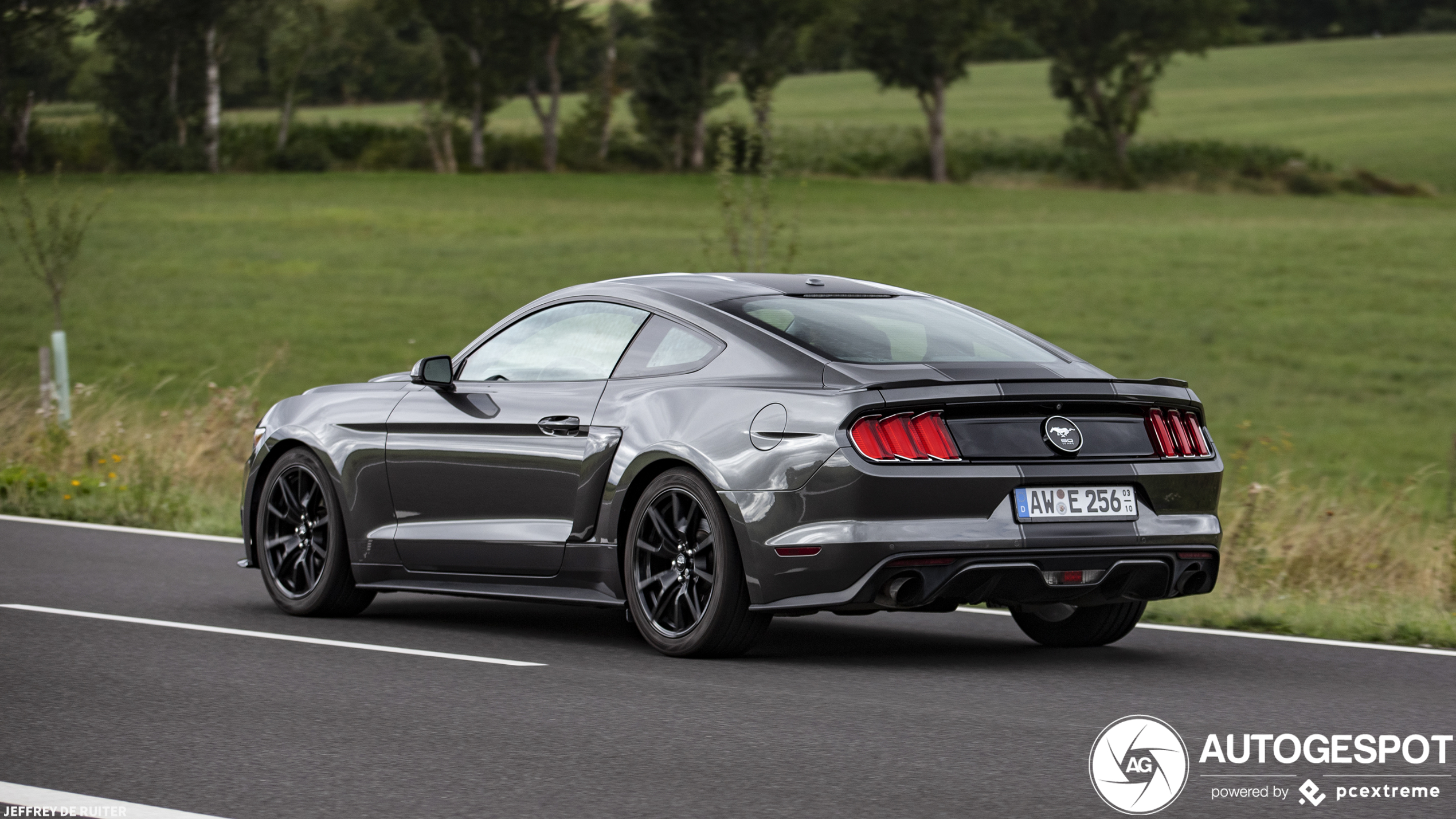 Ford Mustang GT 50th Anniversary Edition