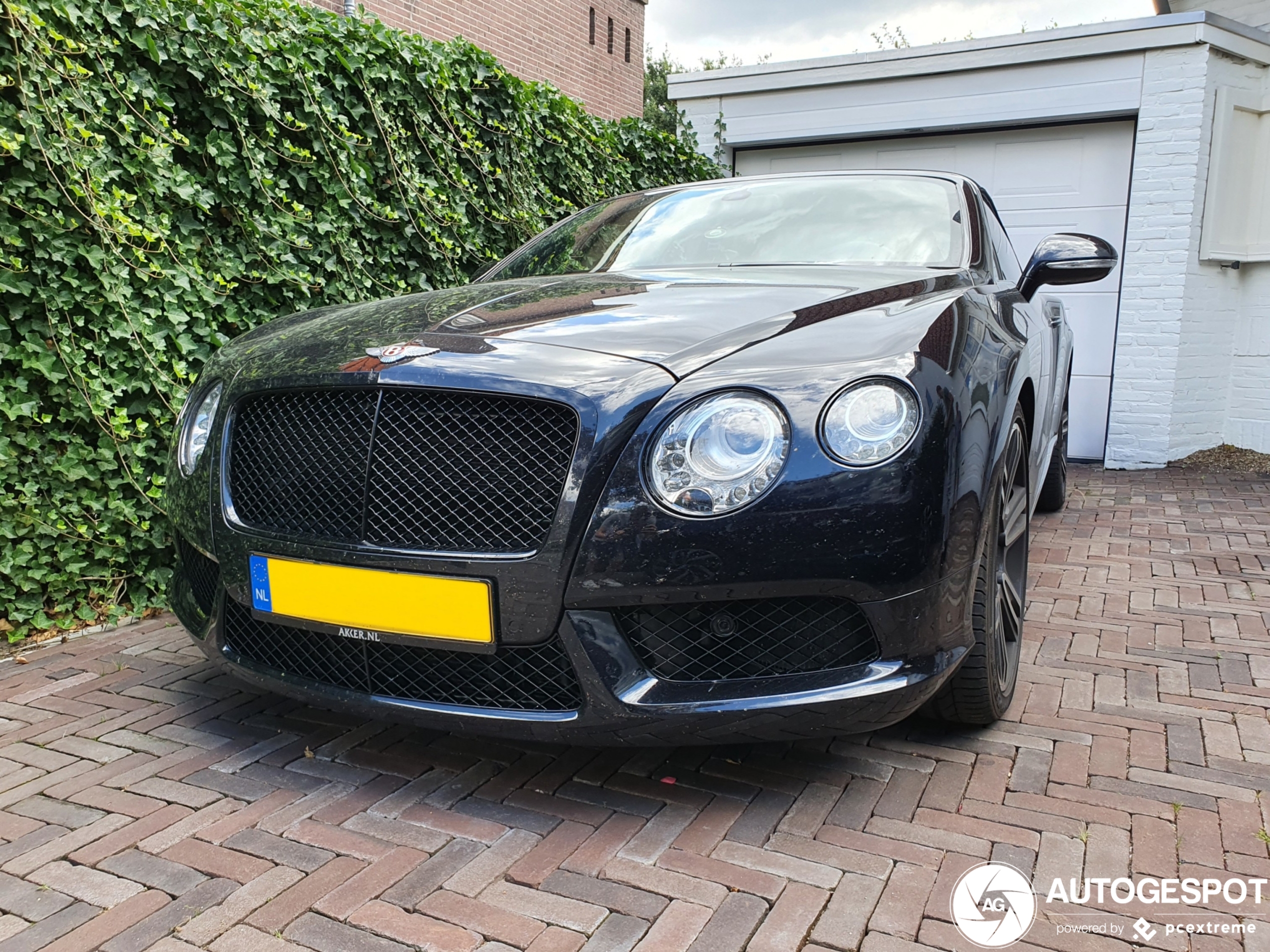 Bentley Continental GTC V8